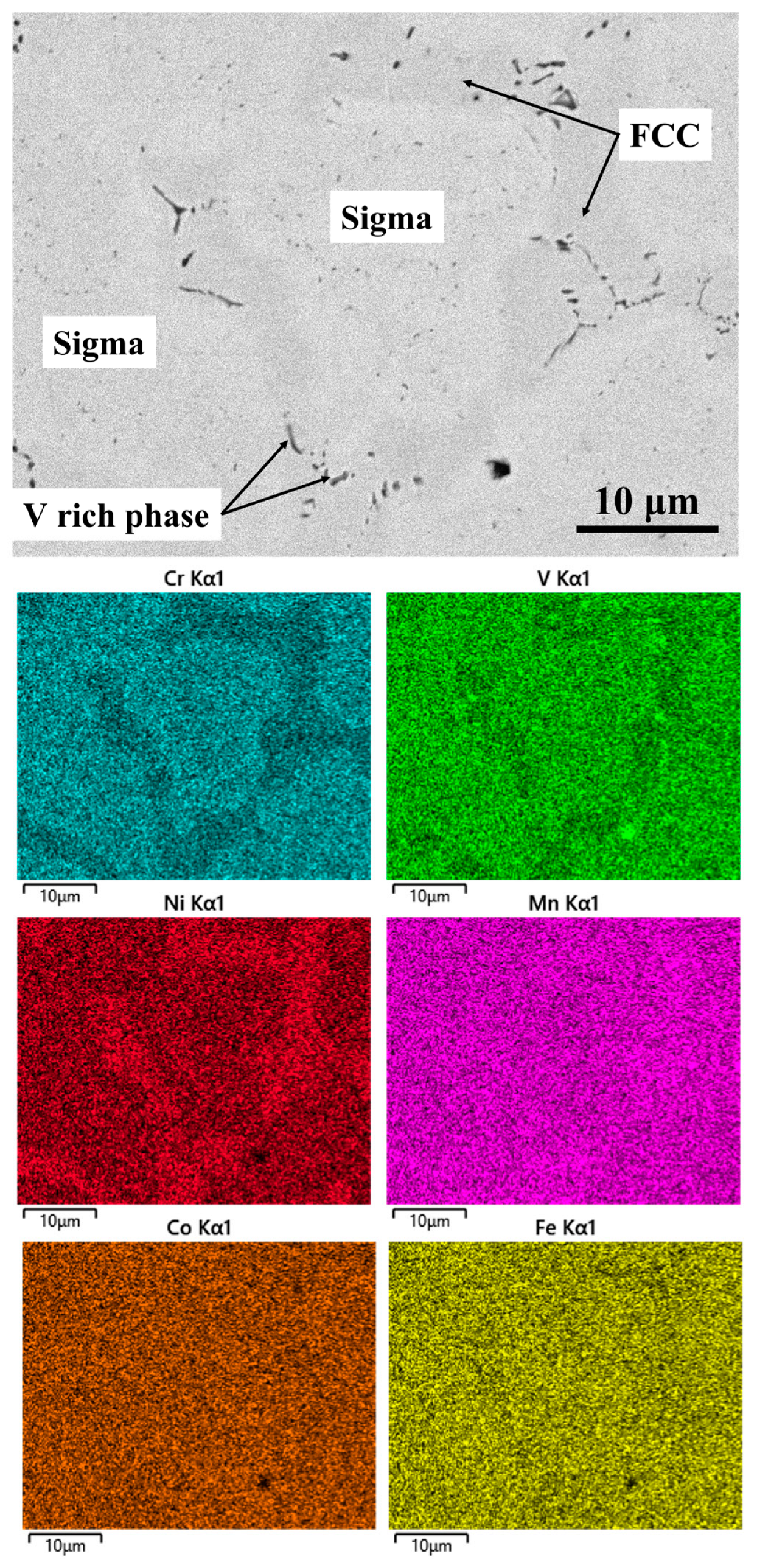 Coatings 13 01004 g002