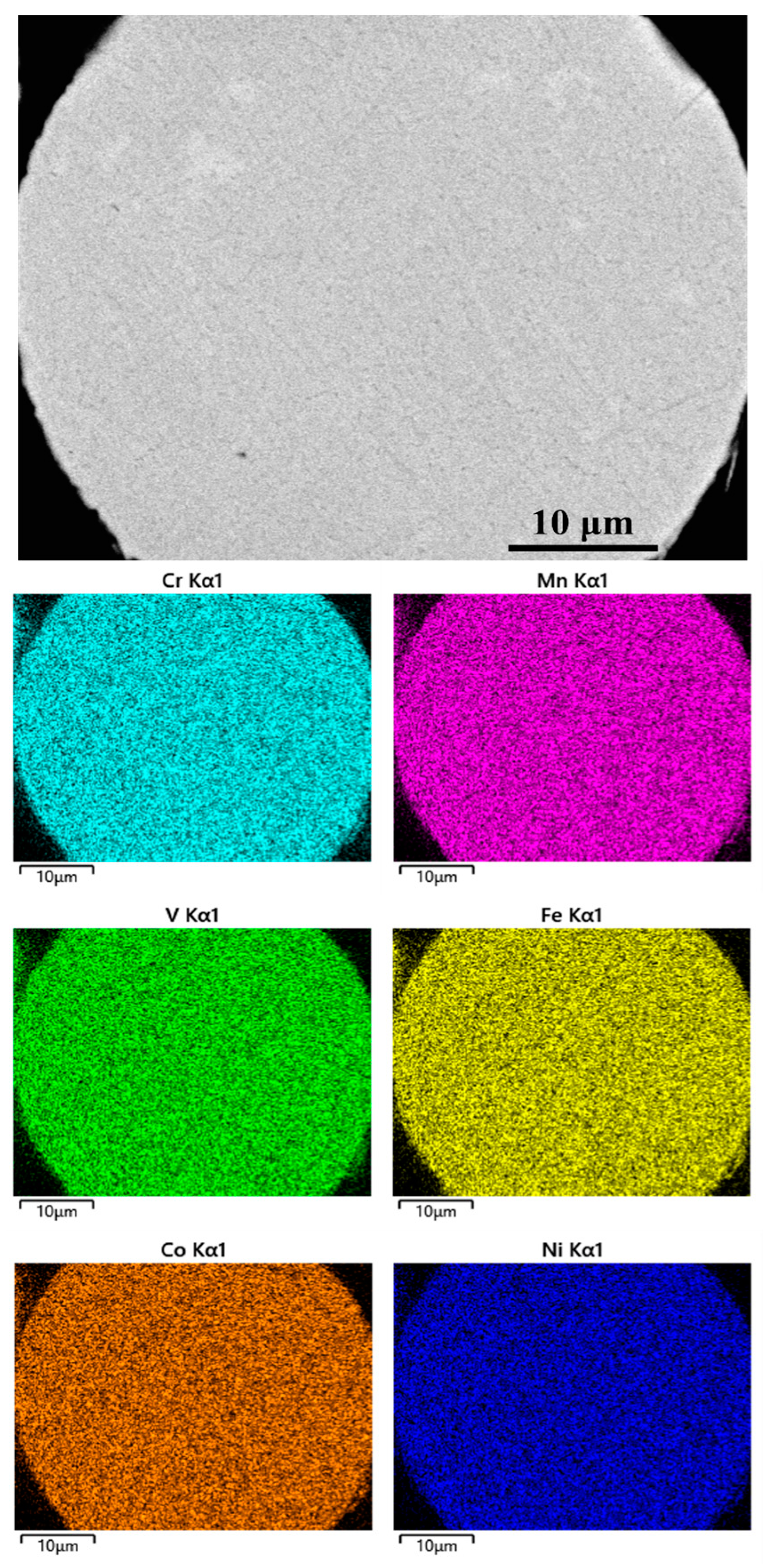 Coatings 13 01004 g004