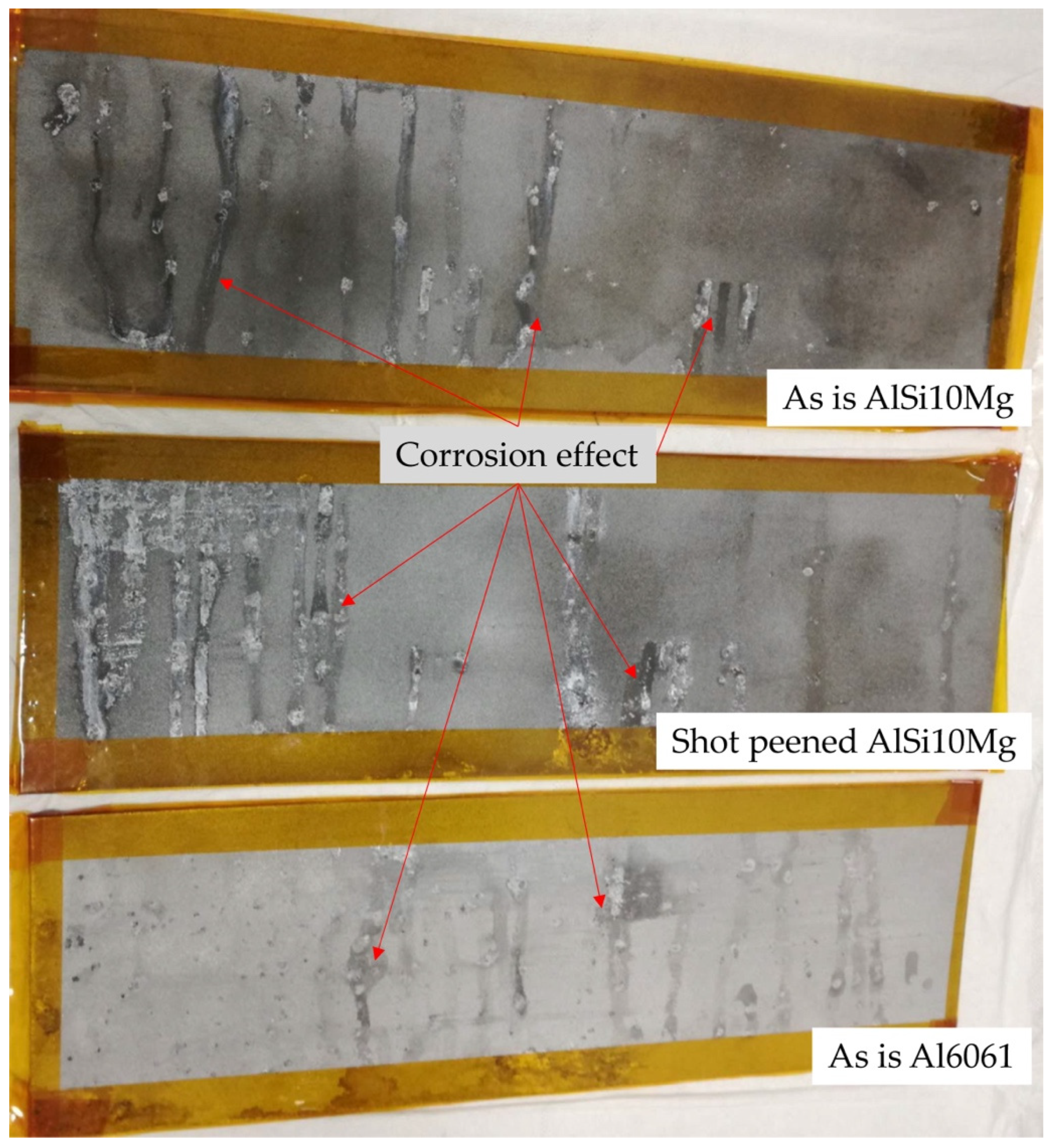 Coatings 13 01081 g004