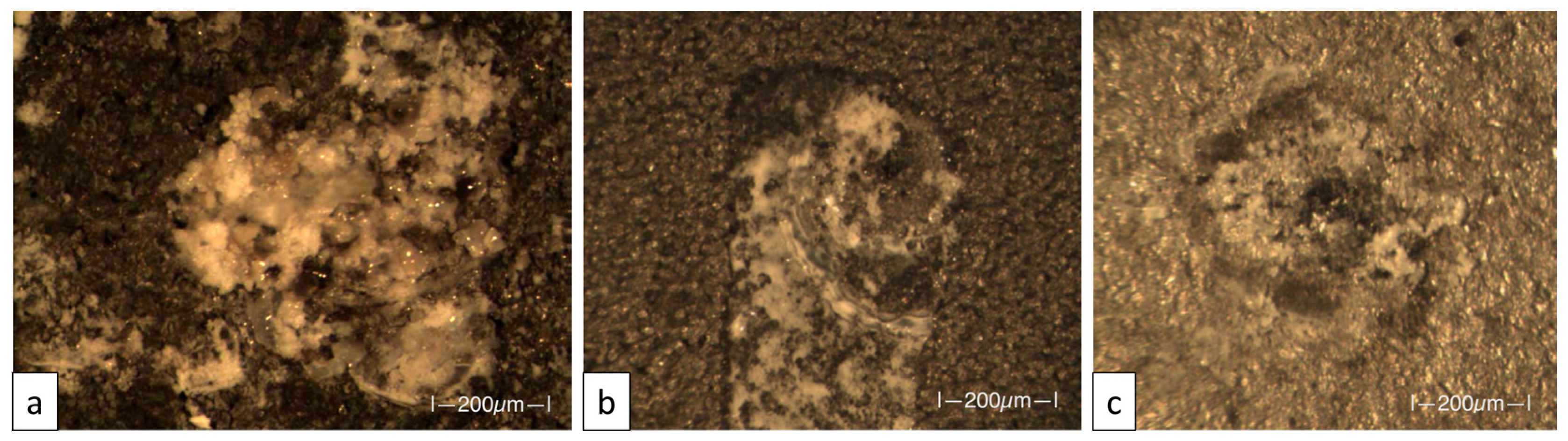 Coatings 13 01081 g005