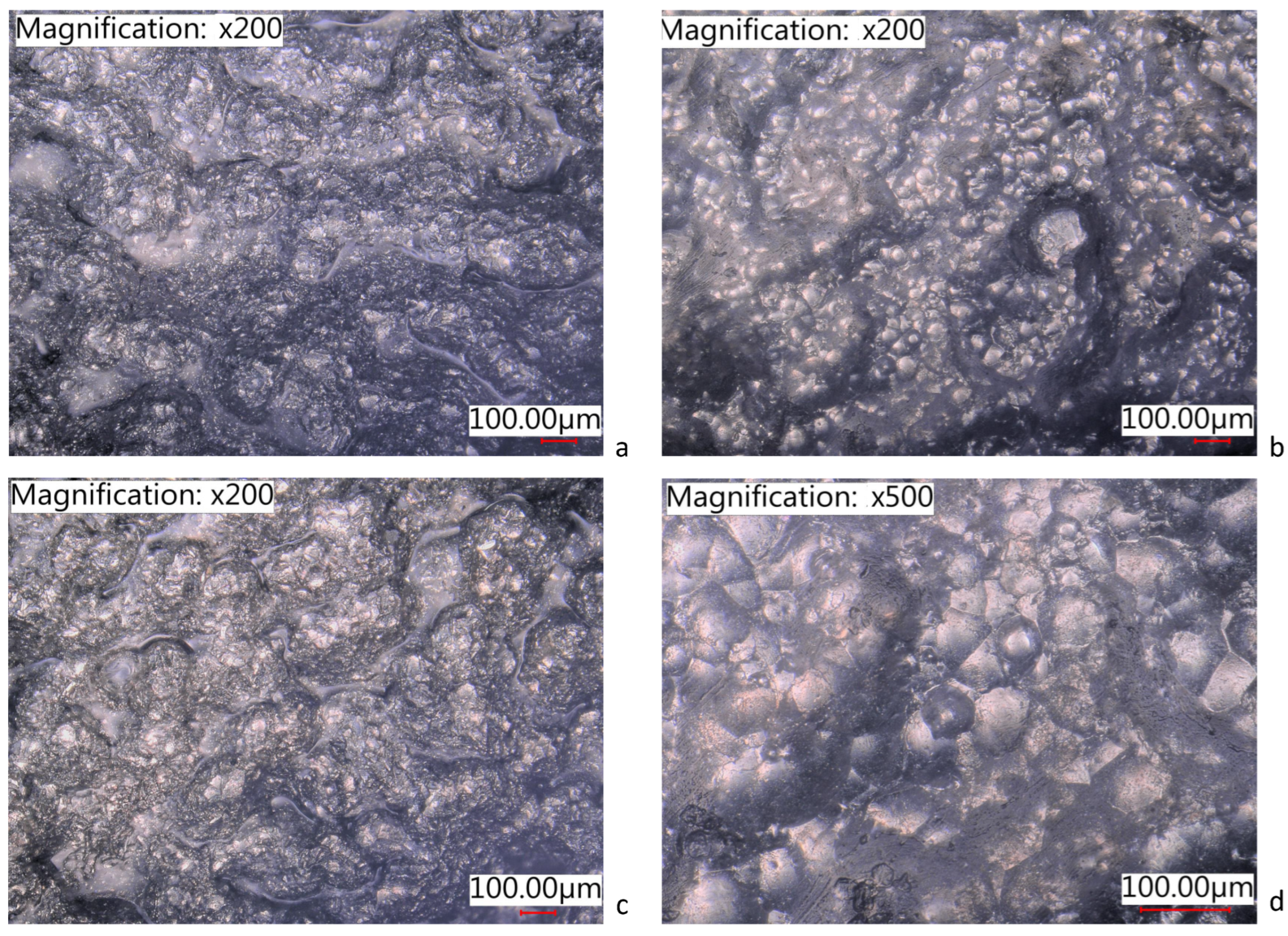 Coatings 13 01081 g006