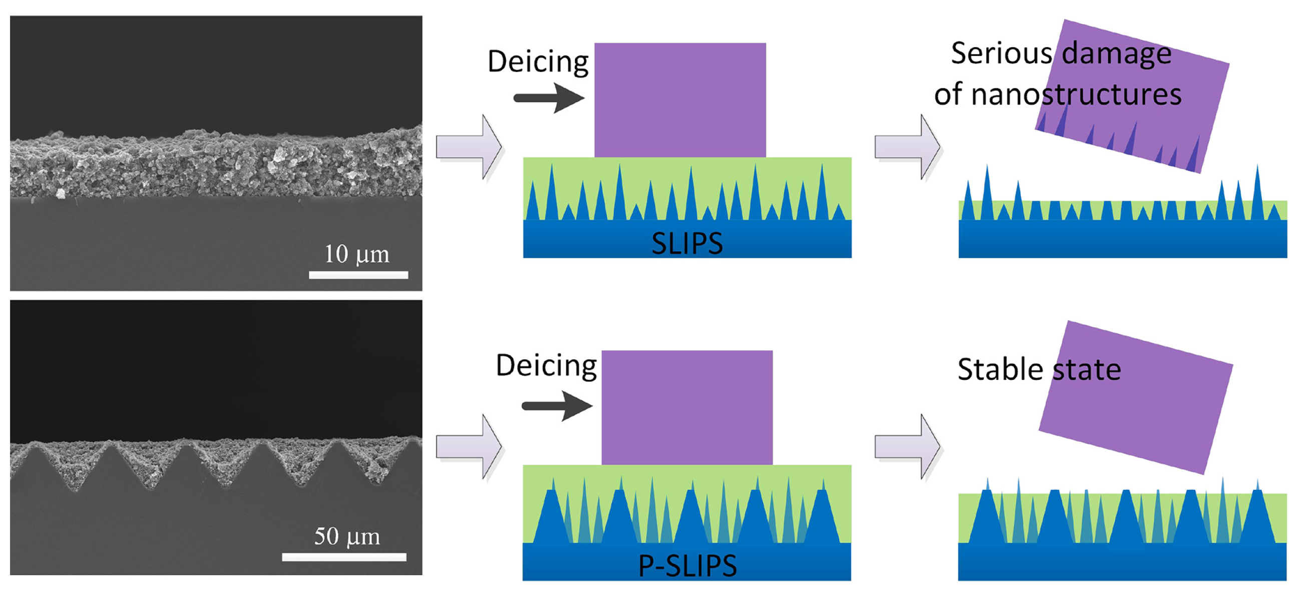 Coatings 13 01095 g008