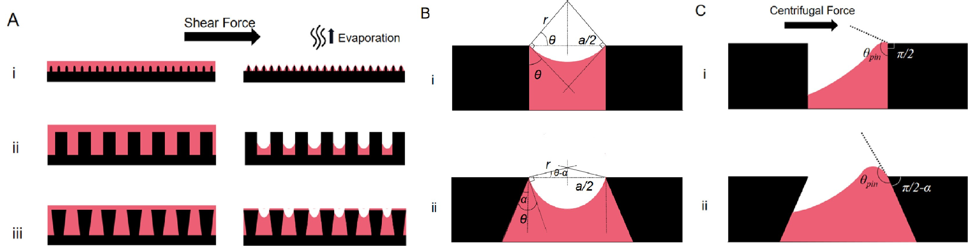 Coatings 13 01095 g009