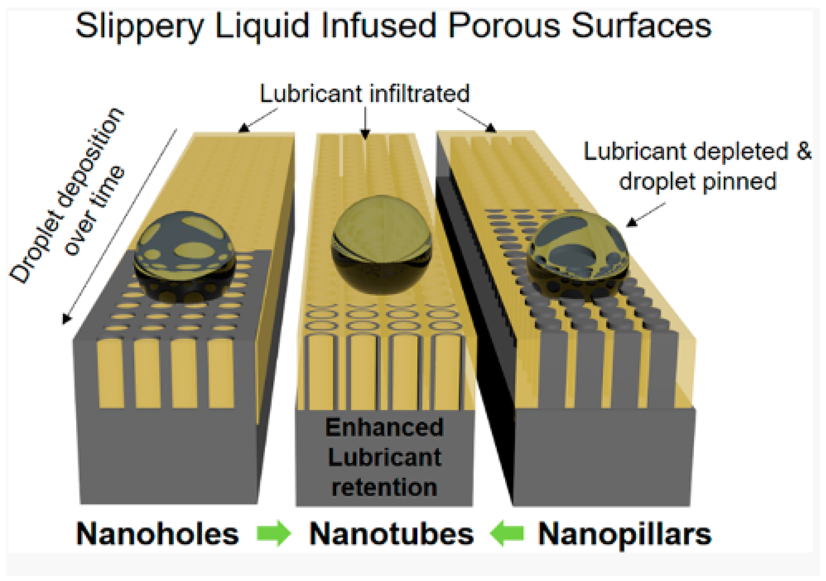 Coatings 13 01095 g010