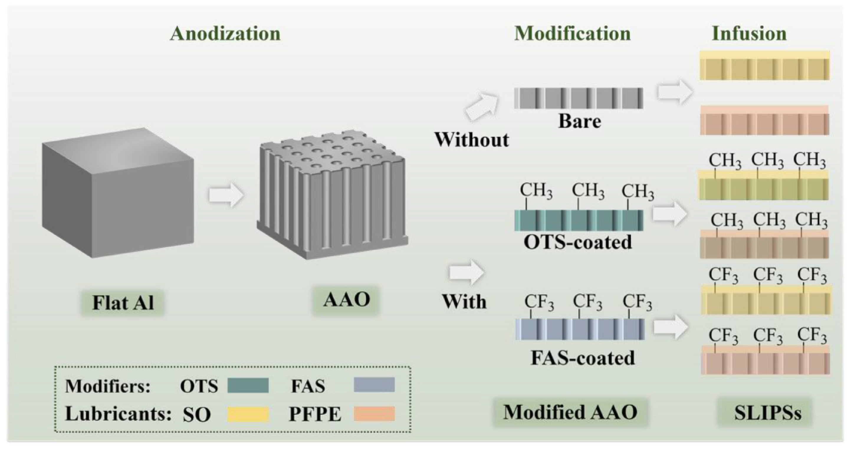 Coatings 13 01095 g011