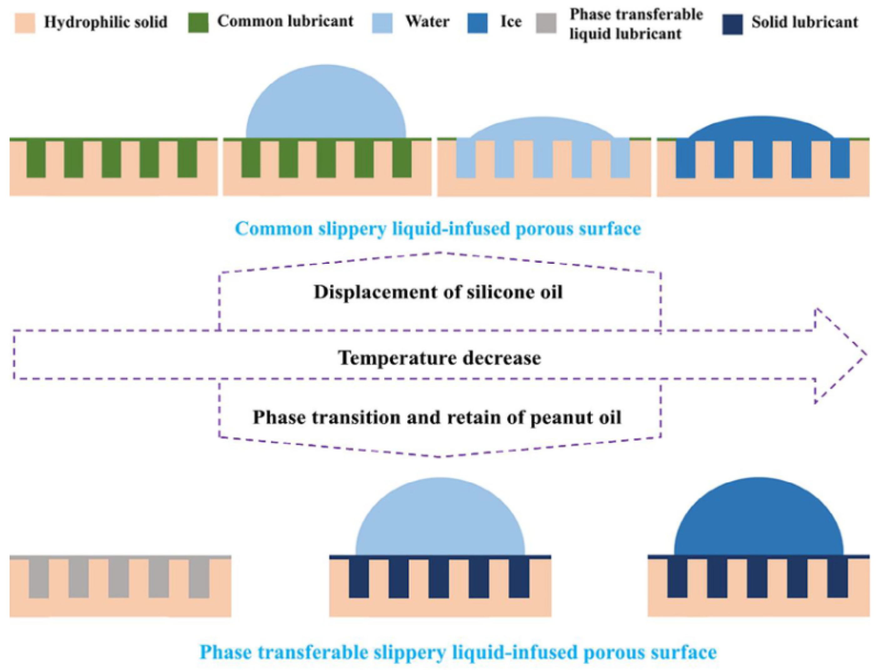 Coatings 13 01095 g013