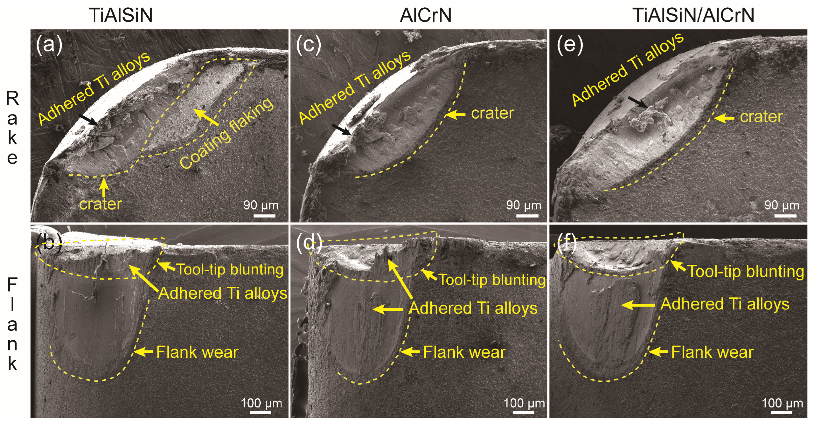 Coatings 13 01229 g017
