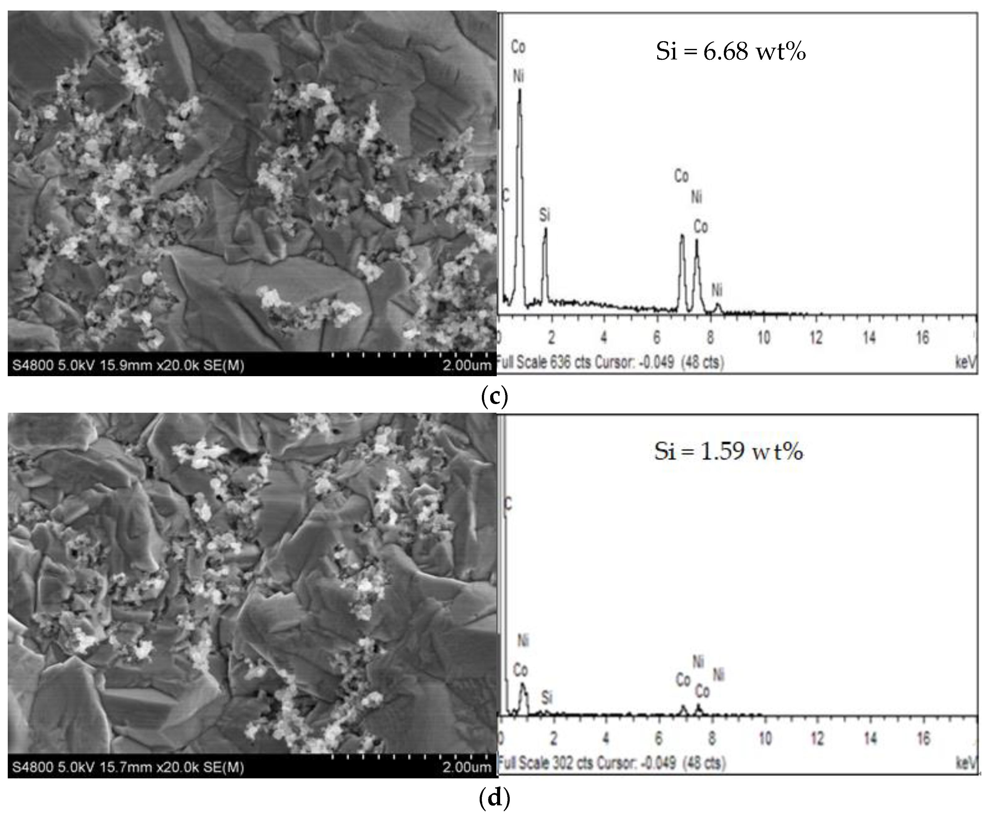 Coatings 13 01232 g002b