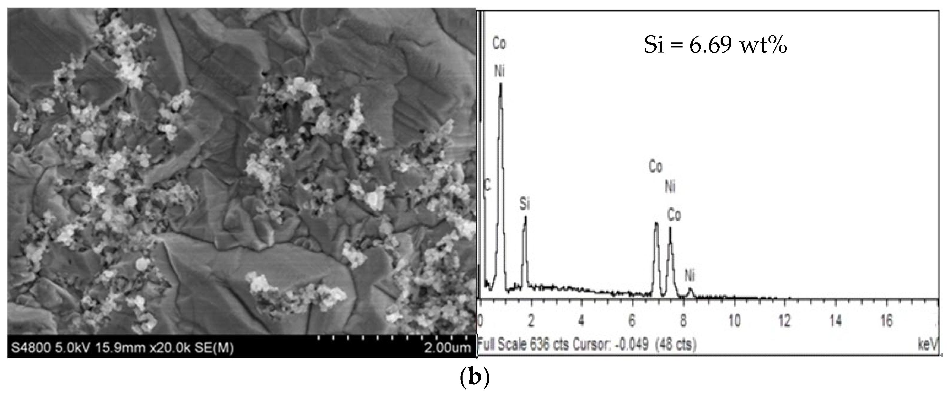 Coatings 13 01232 g004b