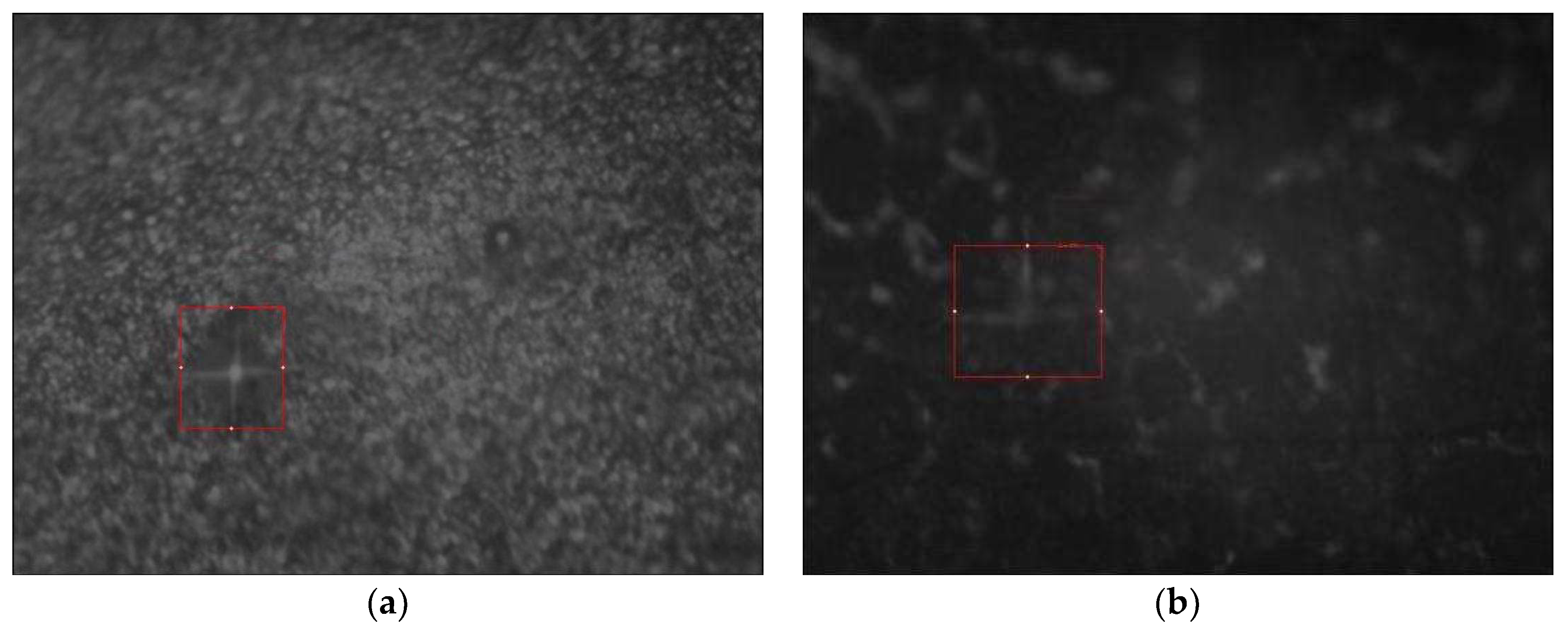 Coatings 13 01232 g006