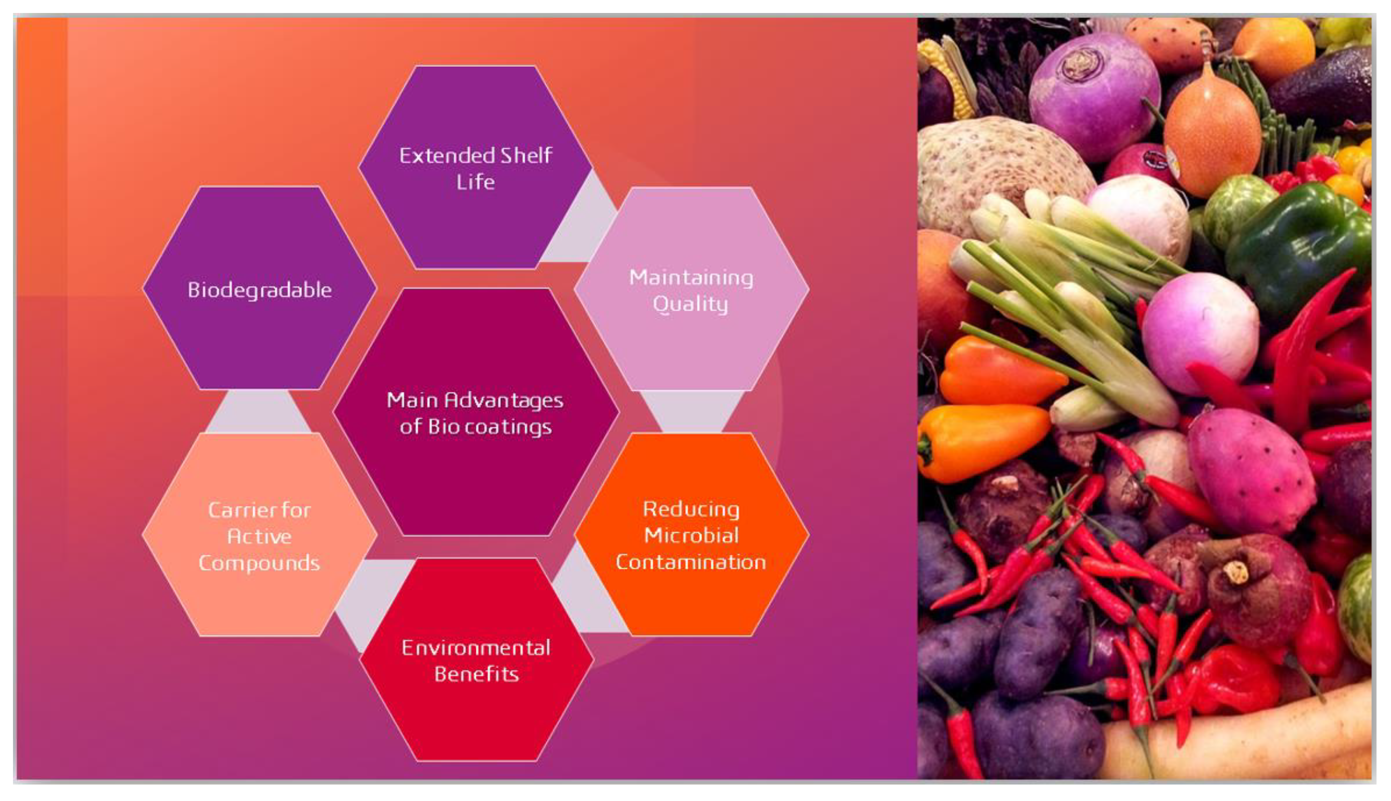 Coatings 13 01420 g003