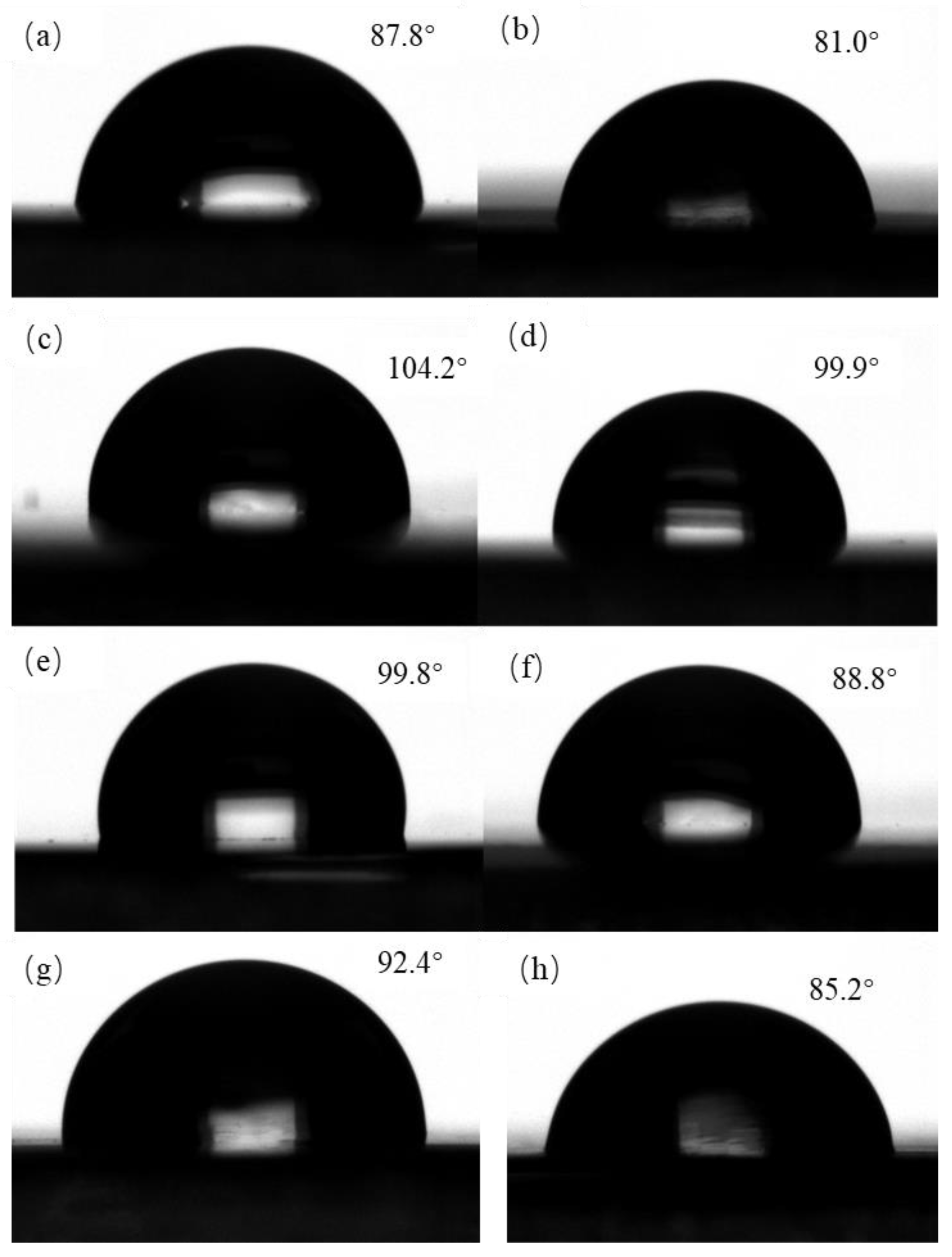 Coatings 13 01494 g008