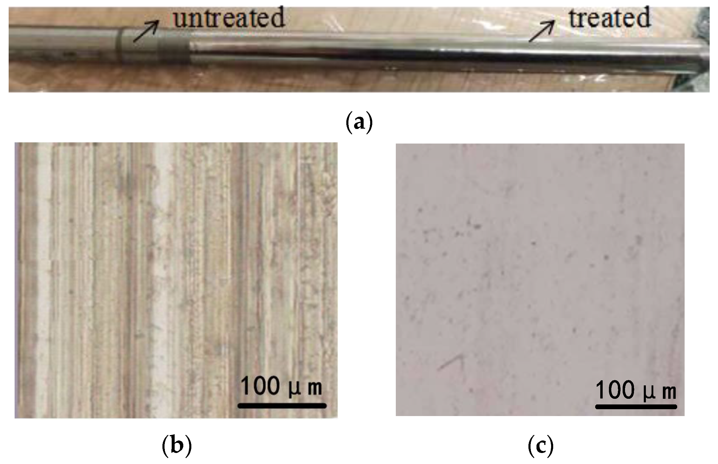 Coatings 13 01626 g002