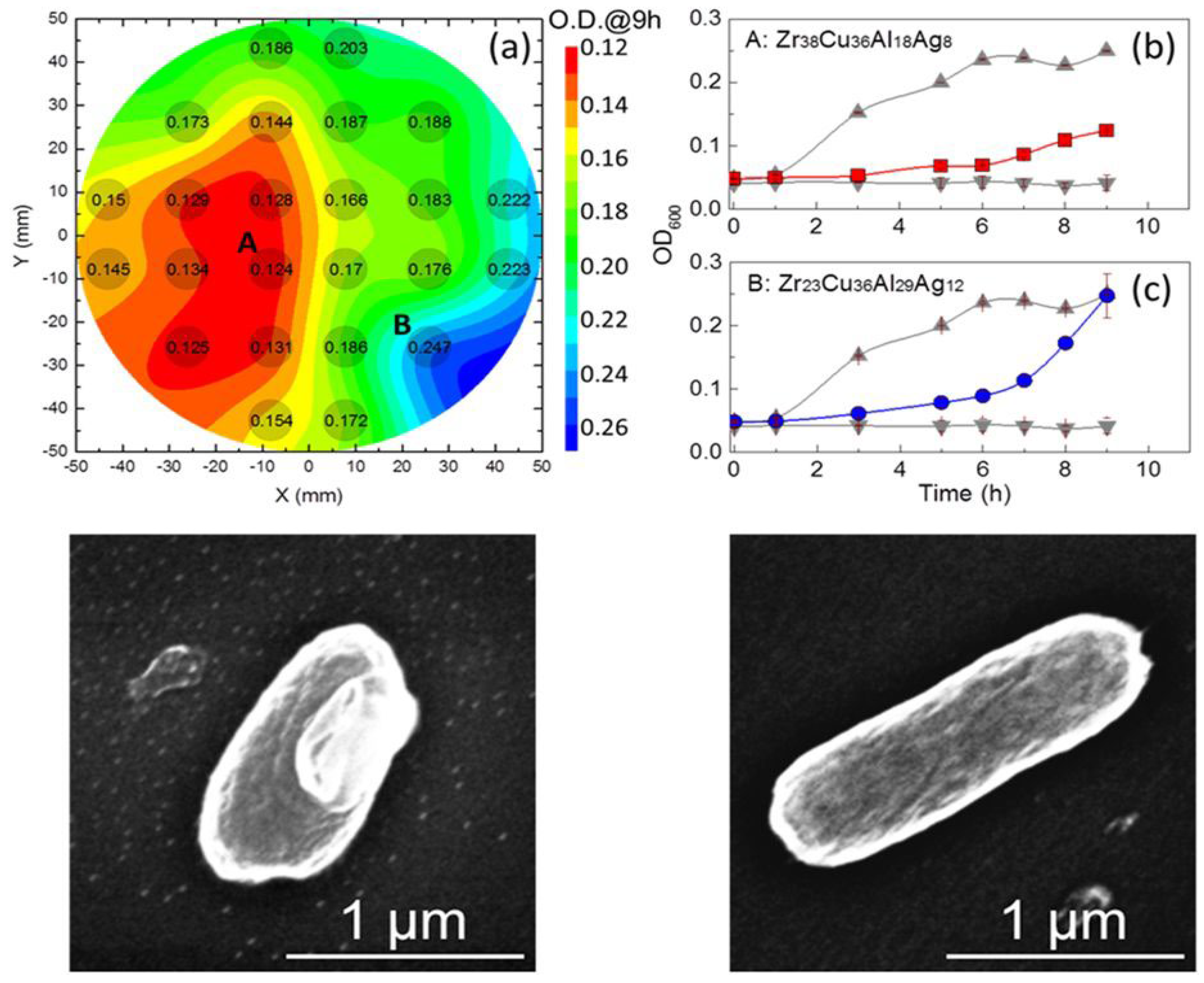 Coatings 13 01689 g012