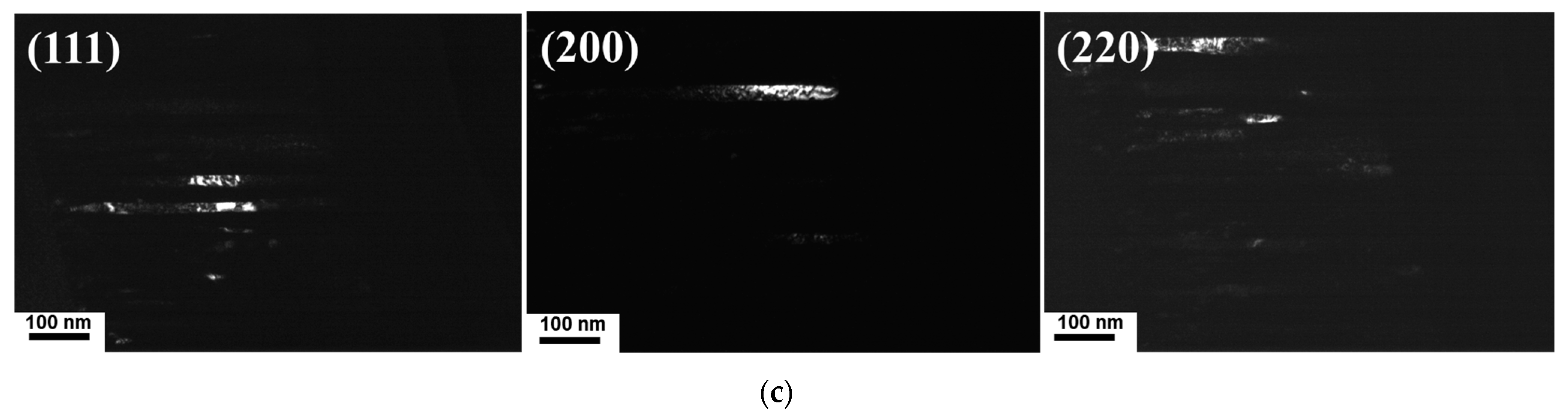 Coatings 13 01724 g006b