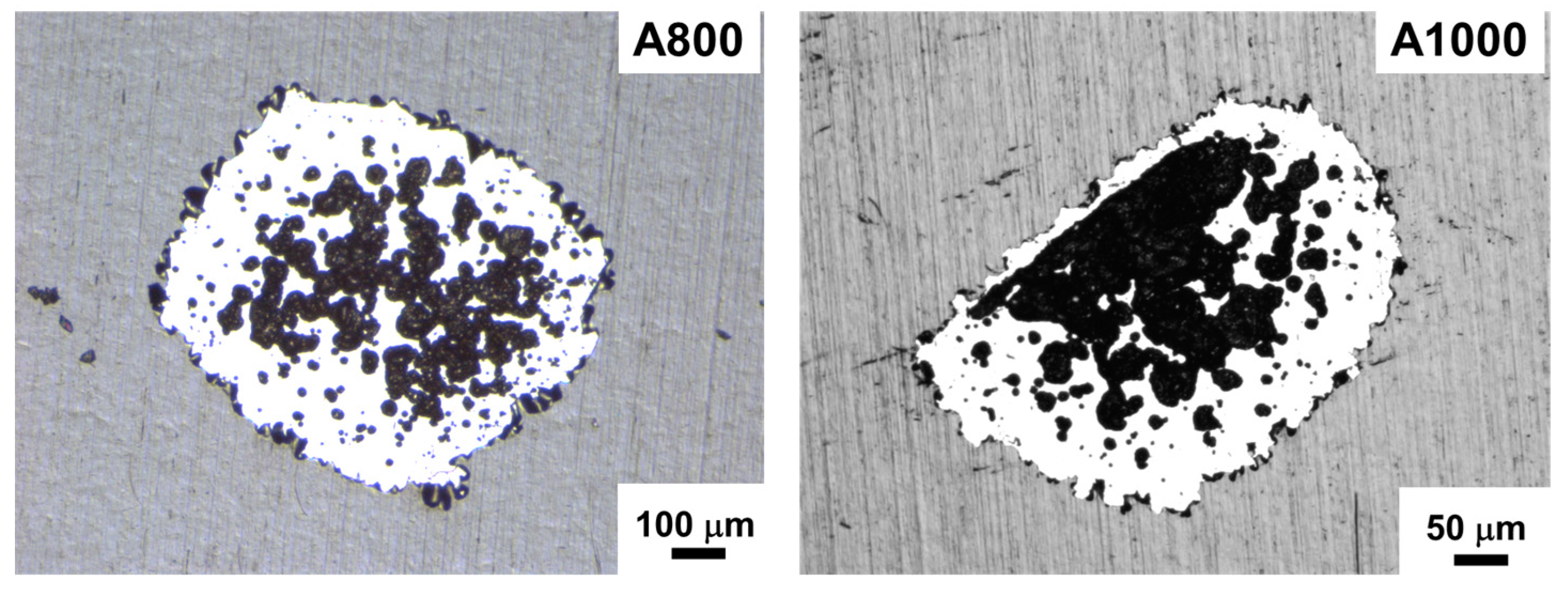 Coatings 13 01724 g014