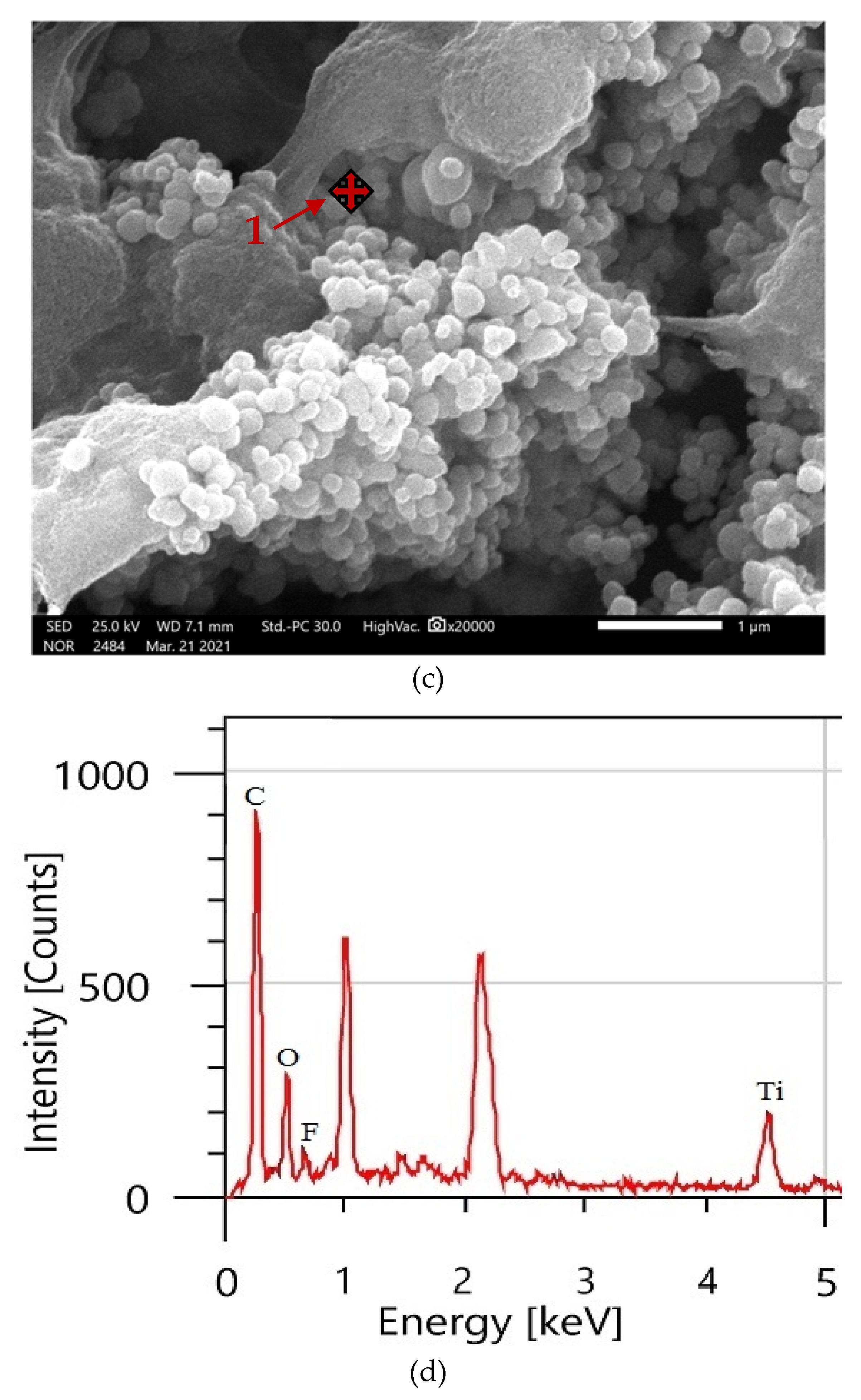 Coatings 13 01729 g005b