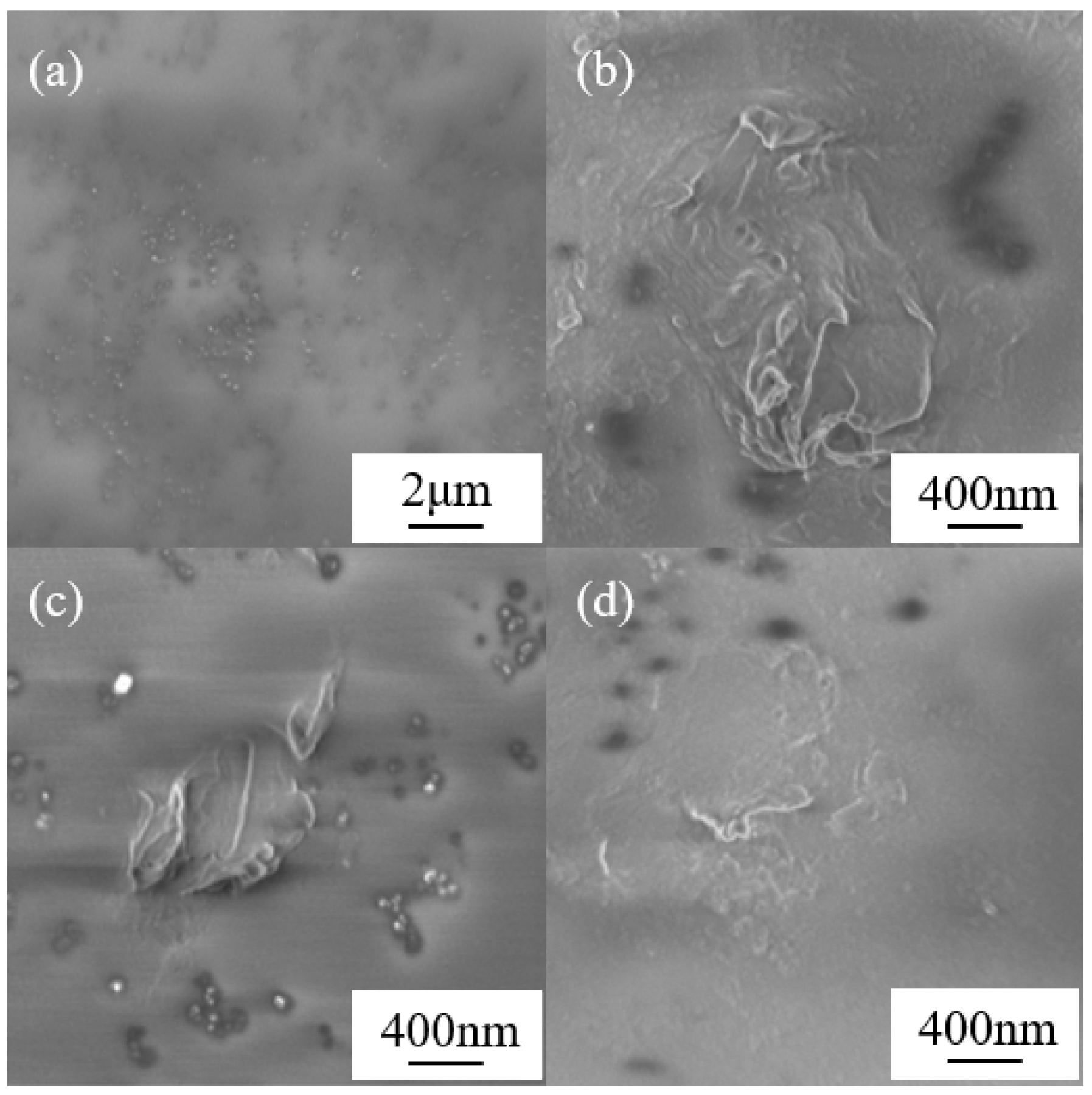 Coatings 13 01805 g005