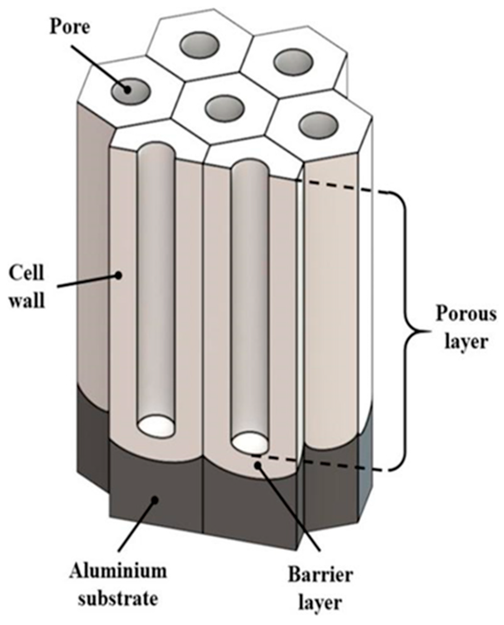 Coatings 13 01881 g003