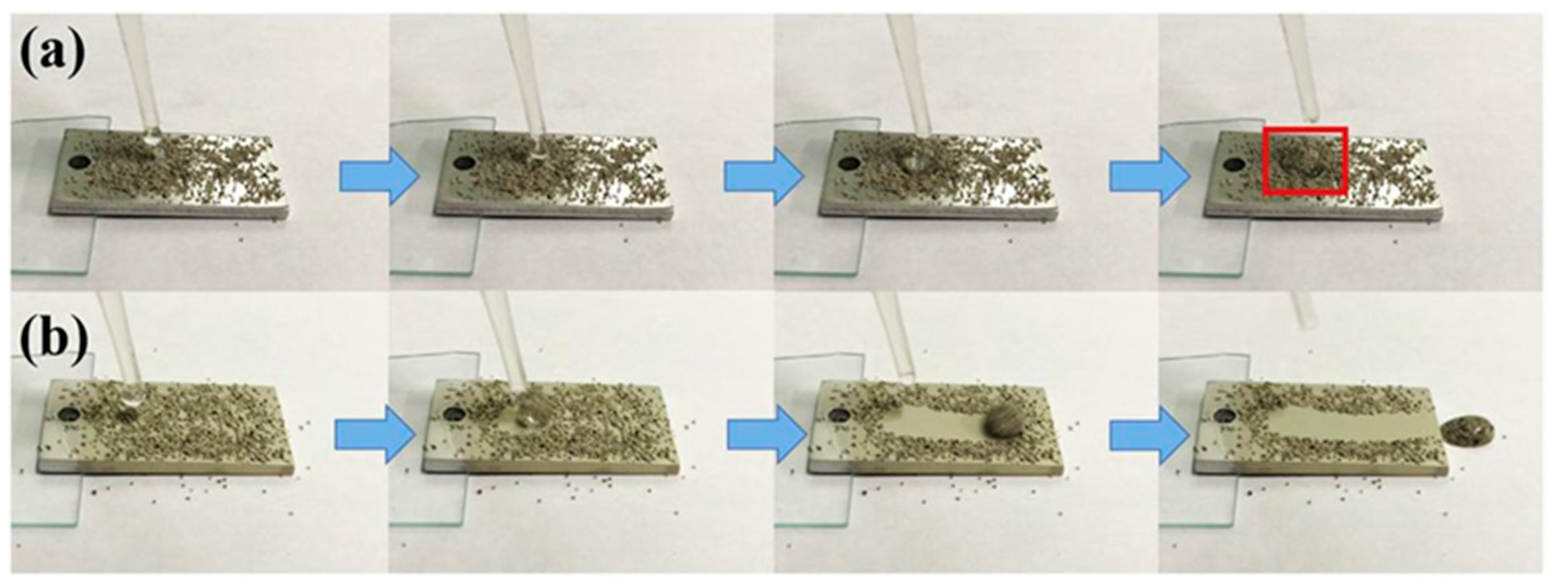 Coatings 13 01881 g004