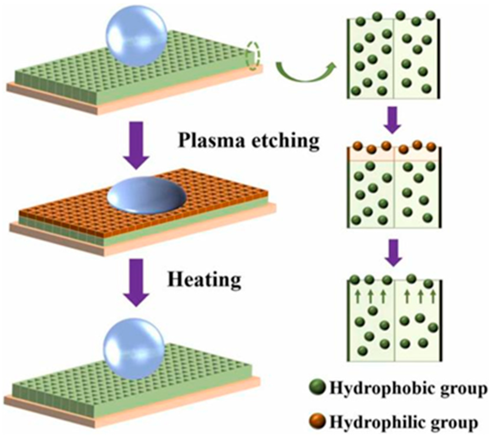Coatings 13 01881 g010