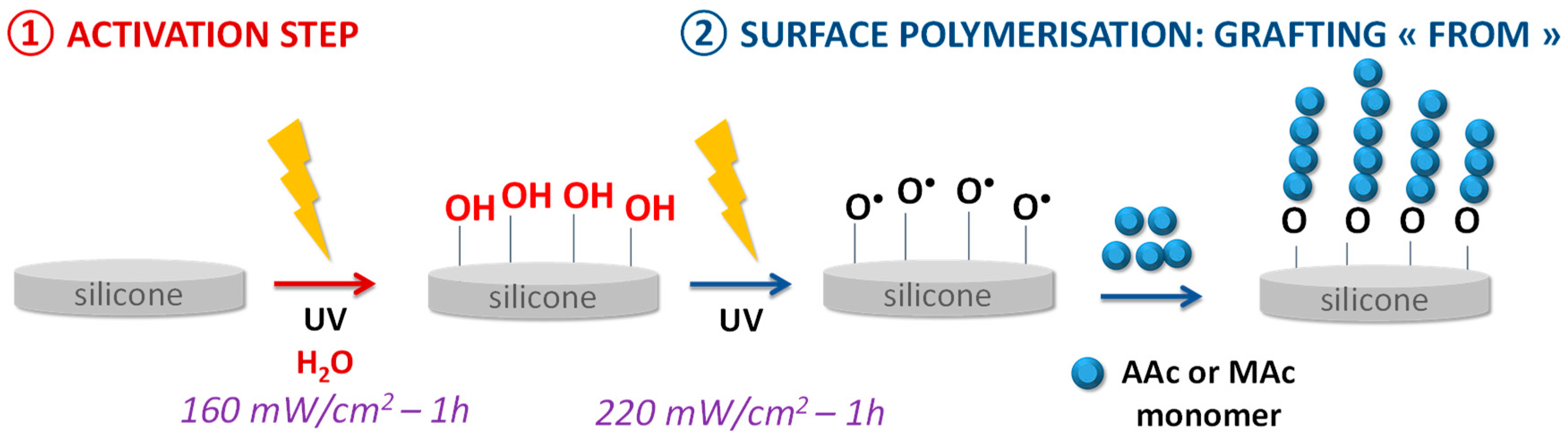 Coatings 13 01888 g001