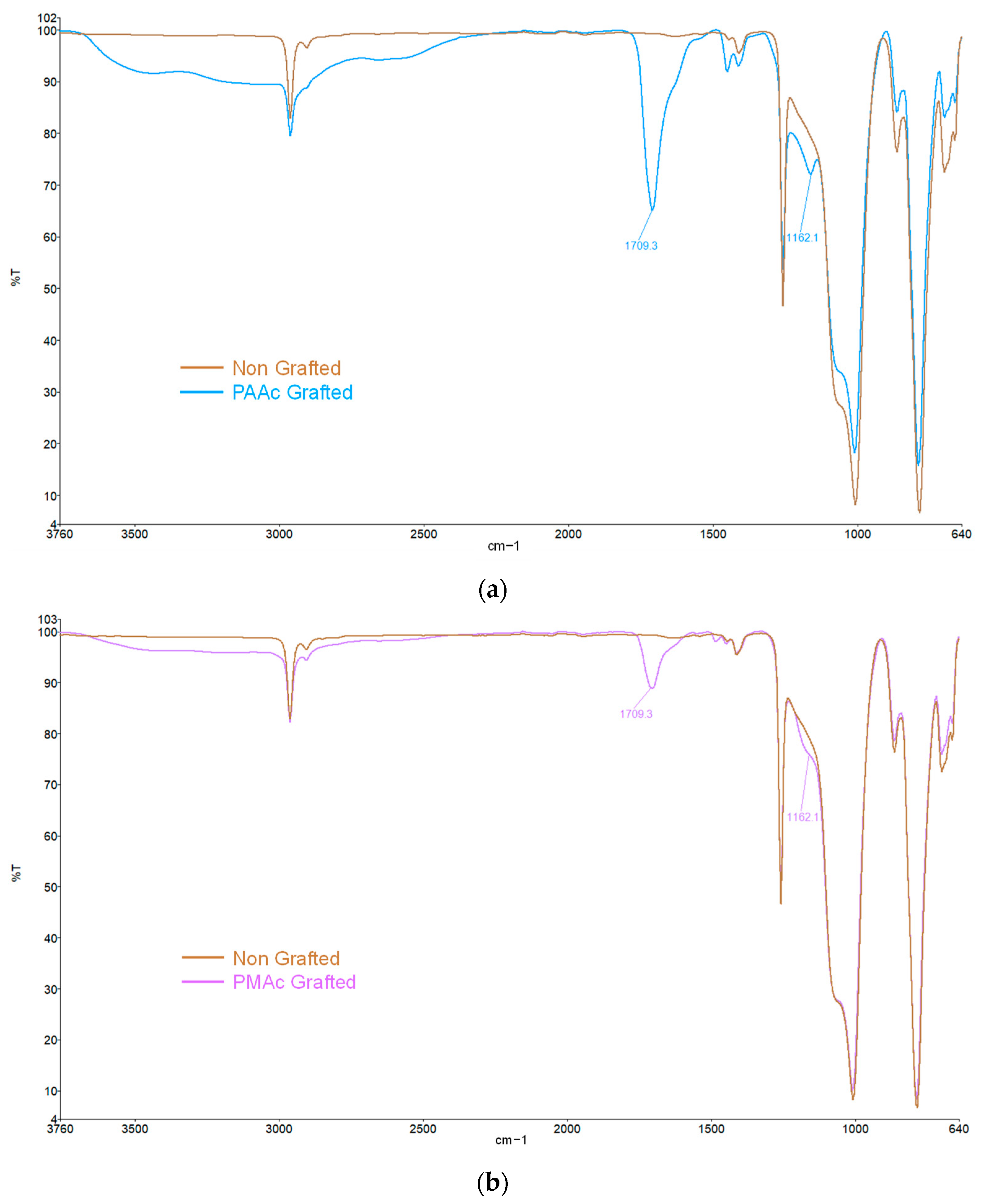 Coatings 13 01888 g002