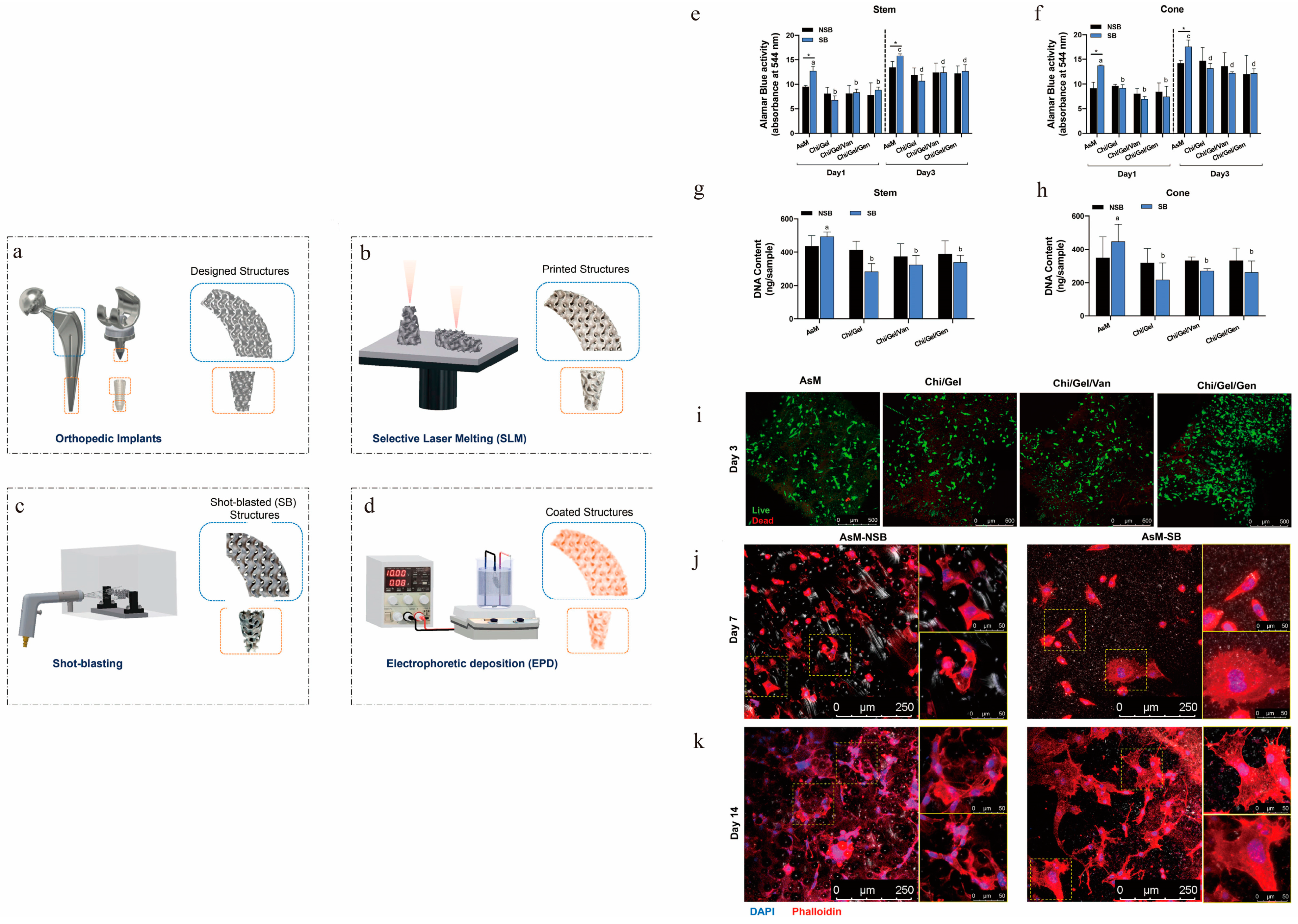 Coatings 13 01917 g006