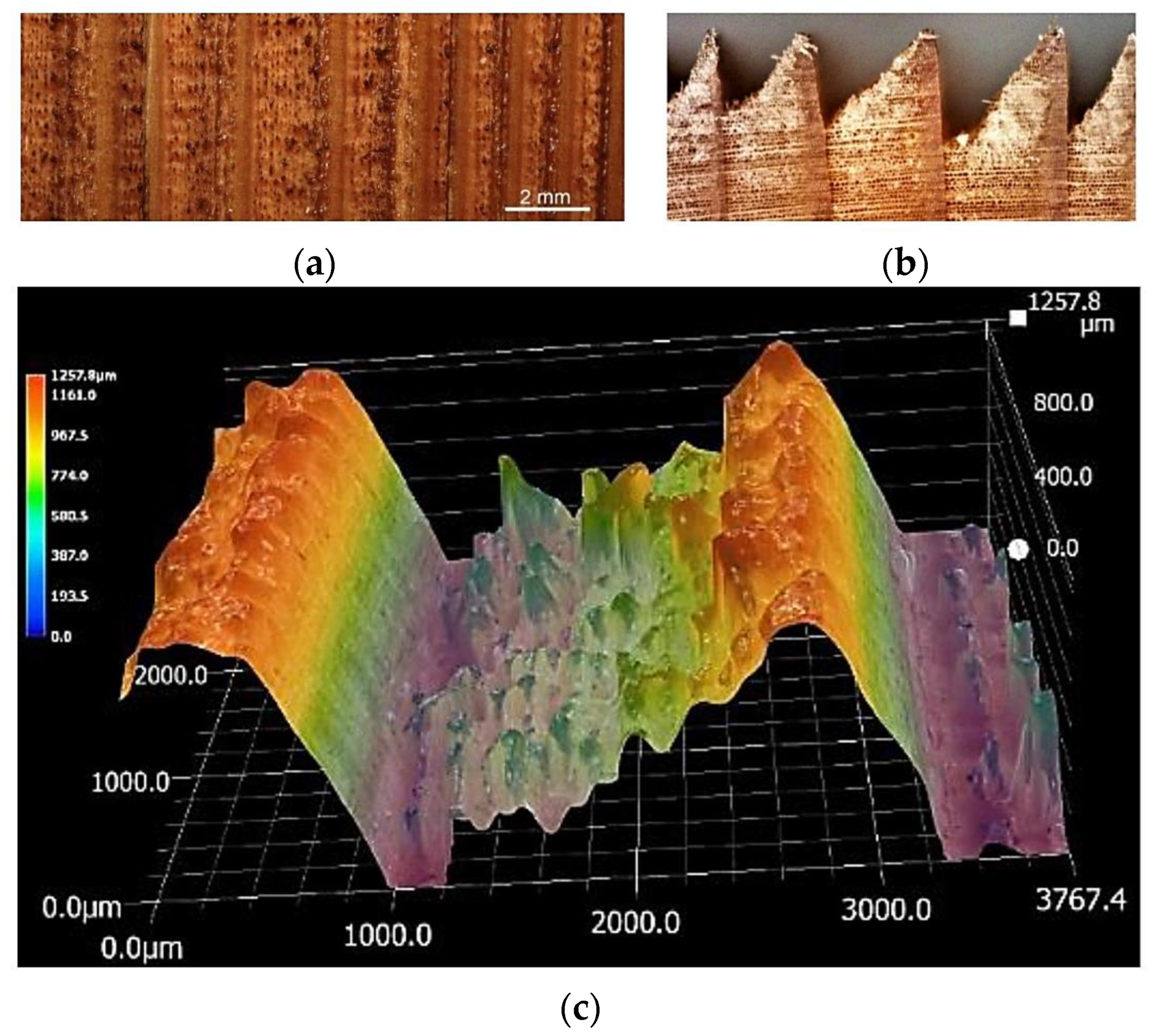Coatings 13 02006 g003 Coatings 13 02006 g003