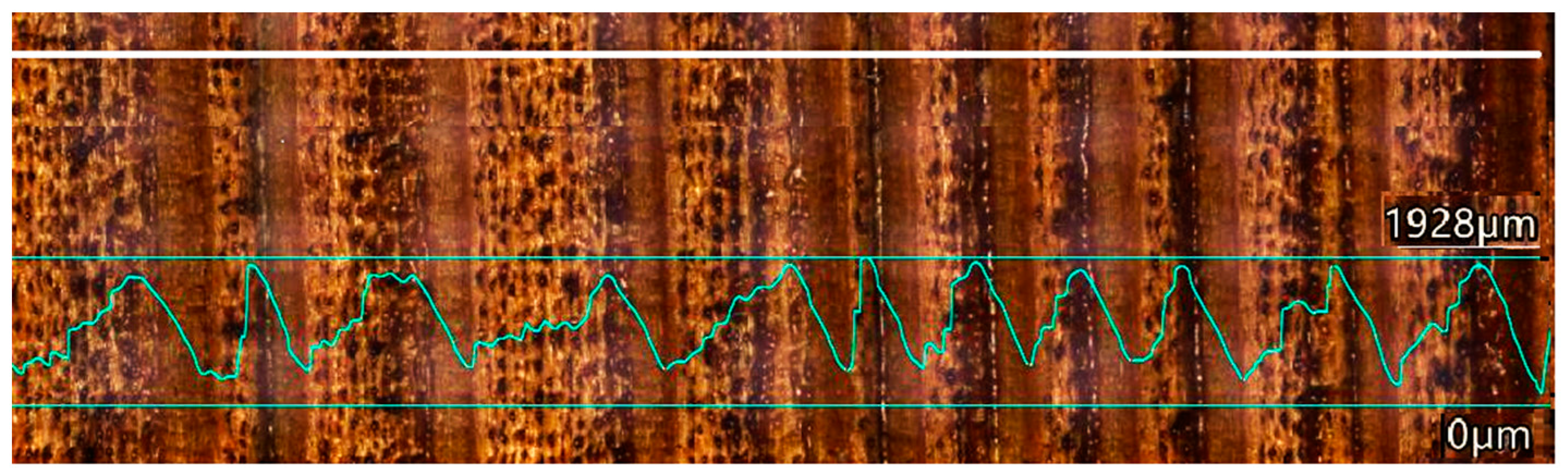 Coatings 13 02006 g005 Coatings 13 02006 g005