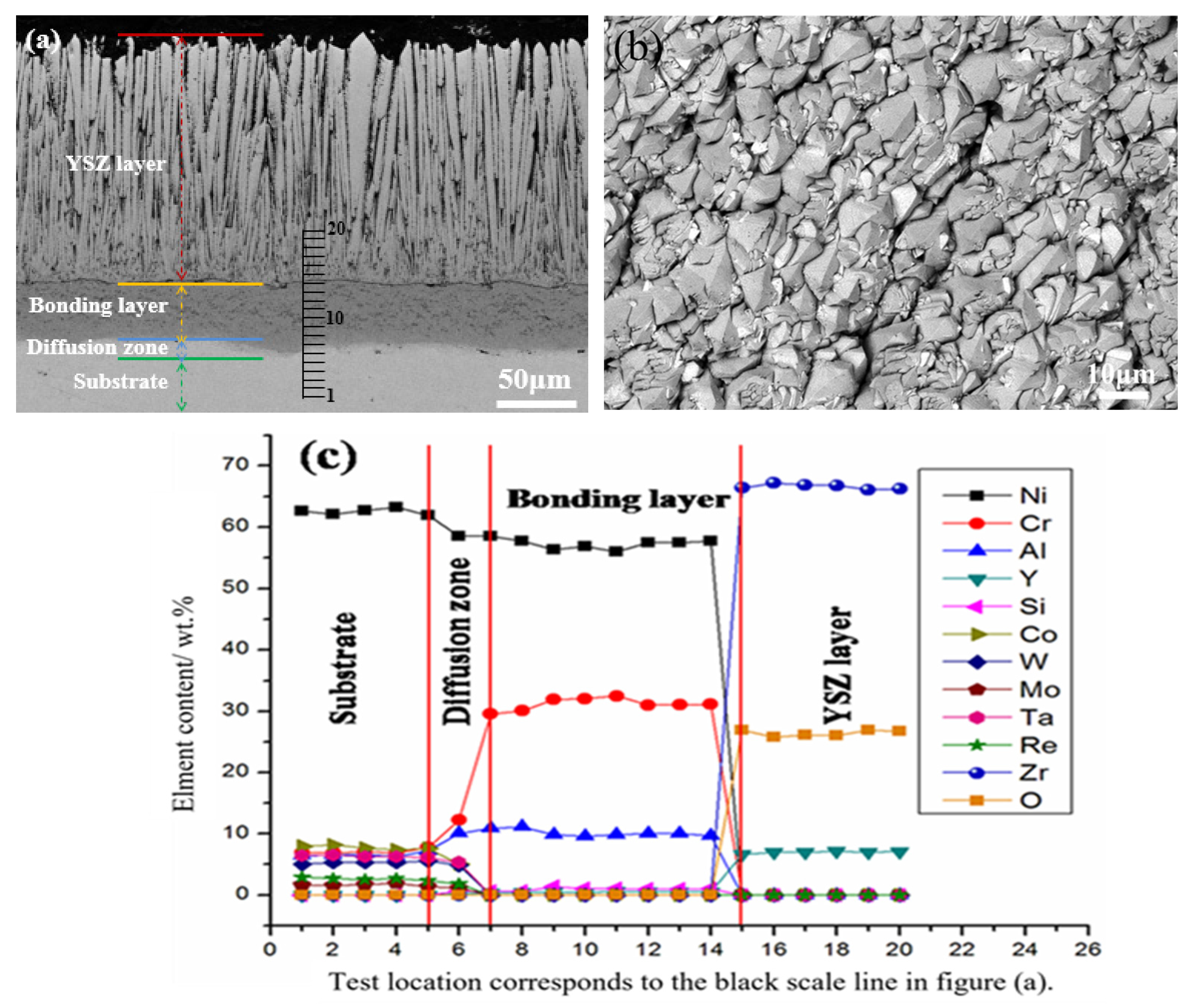 Coatings 13 02062 g002