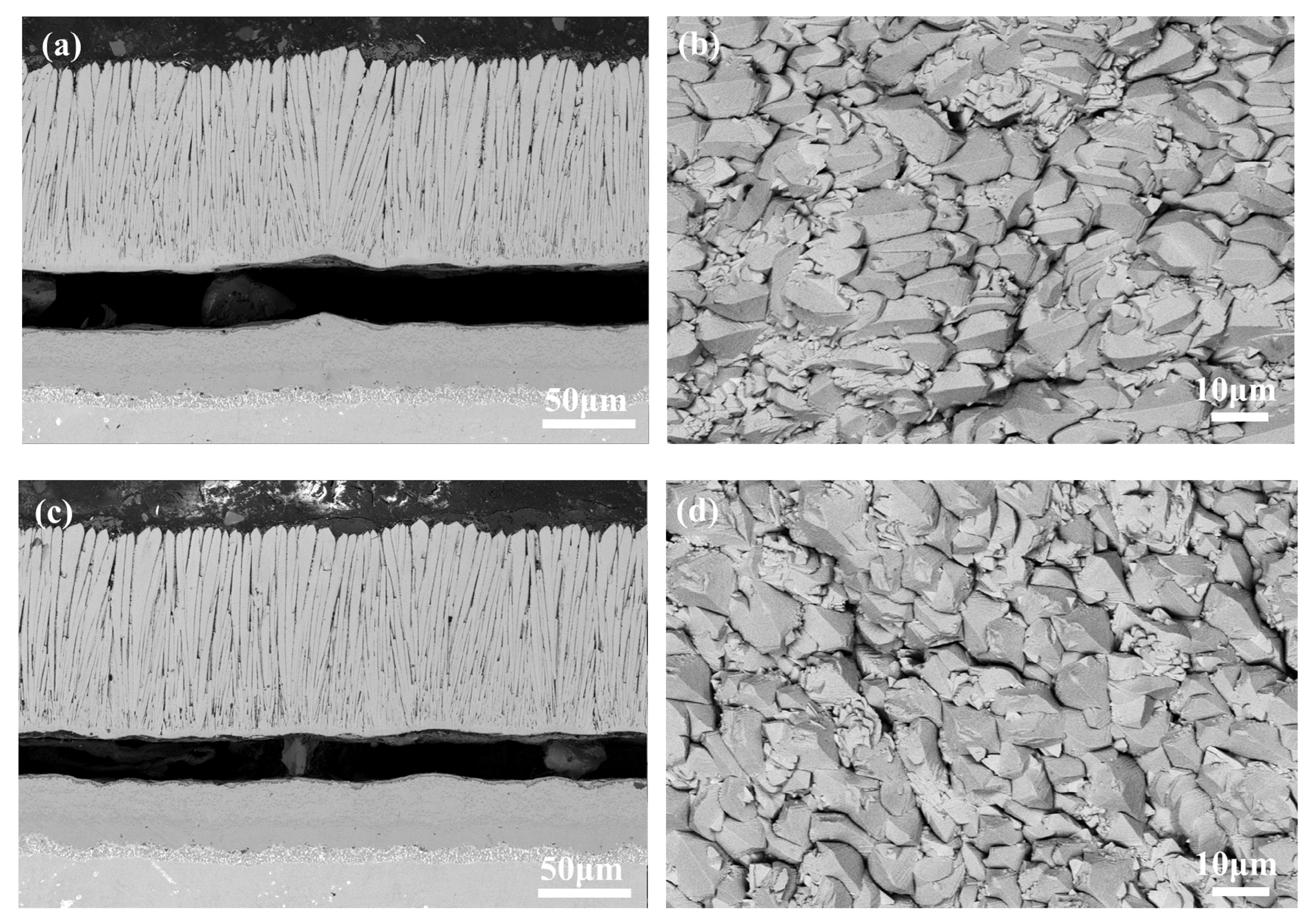 Coatings 13 02062 g005