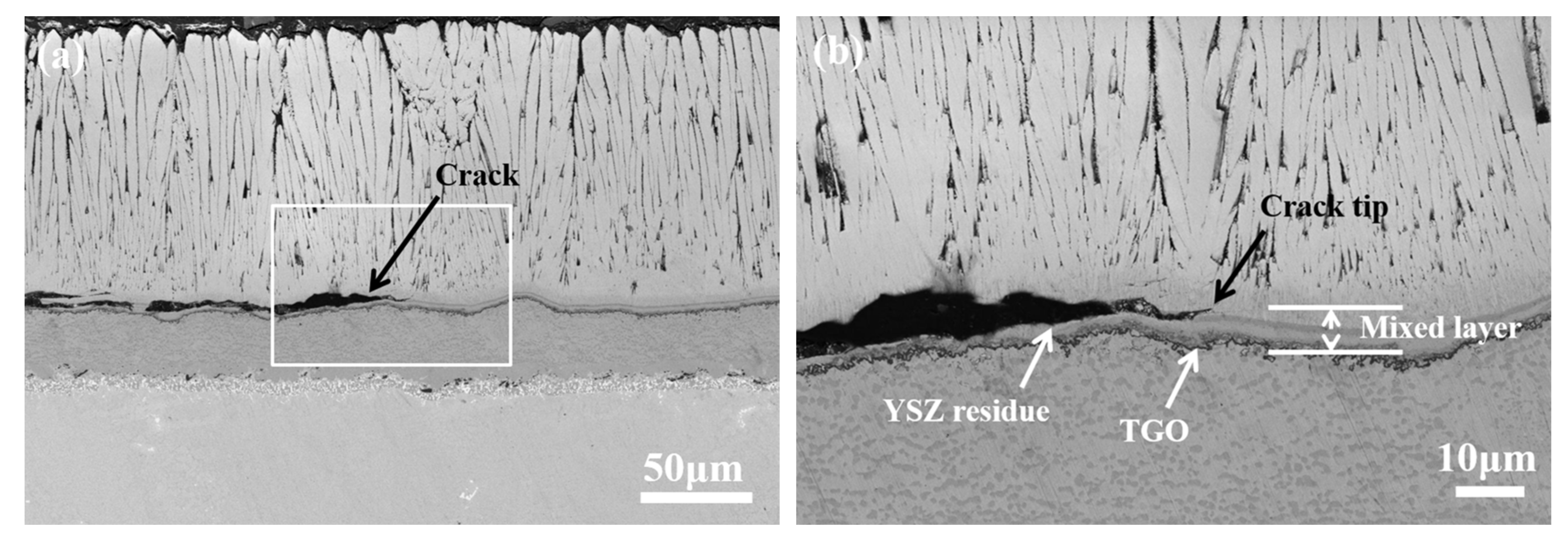 Coatings 13 02062 g006a