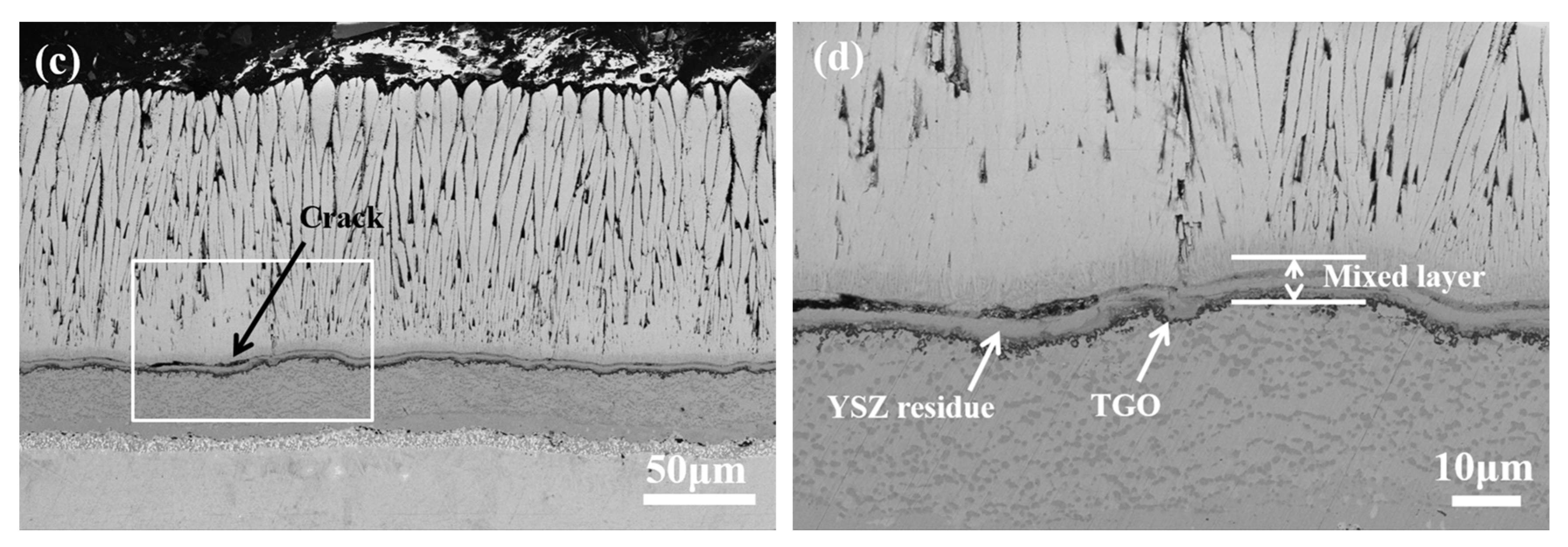 Coatings 13 02062 g006b