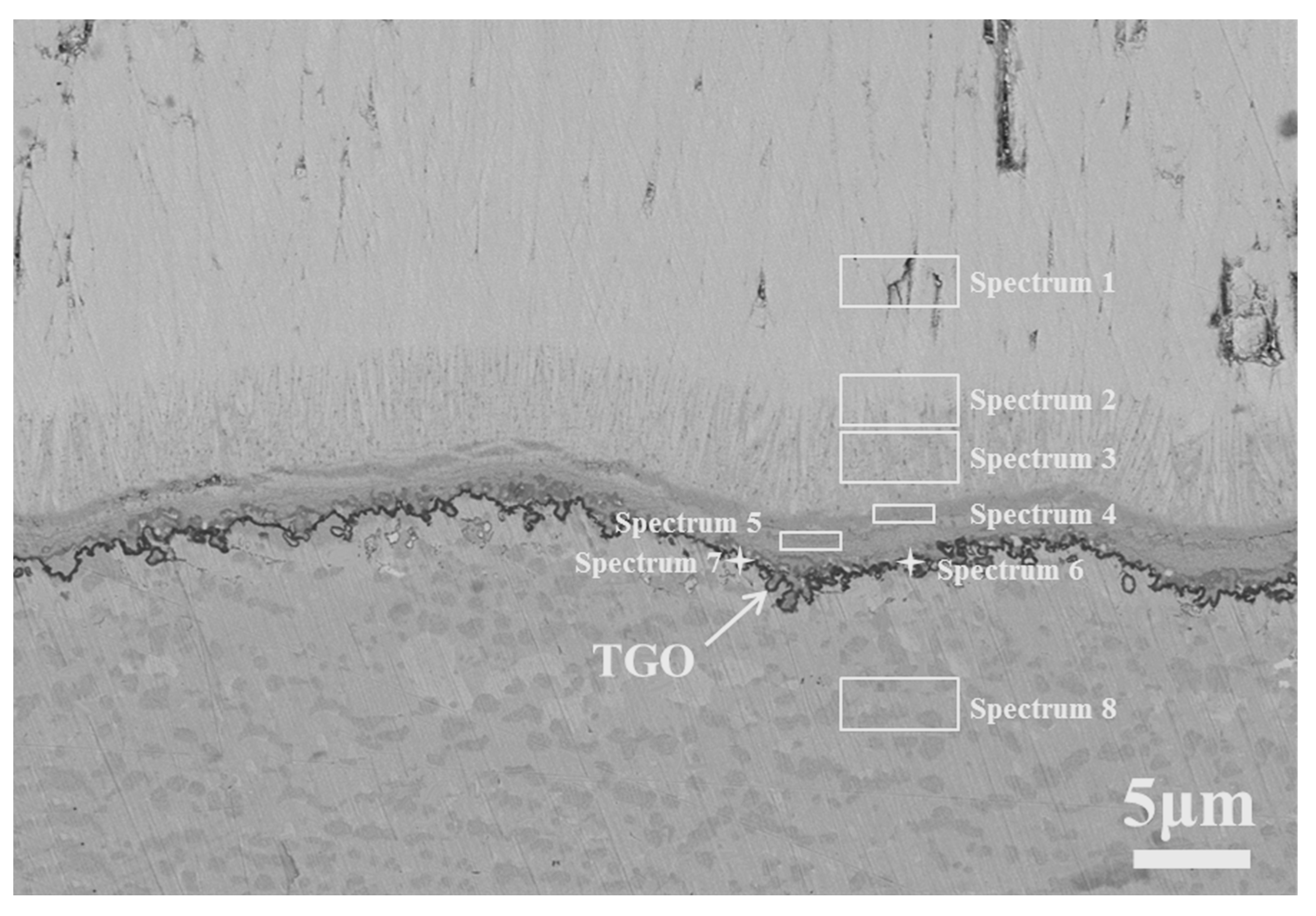 Coatings 13 02062 g008