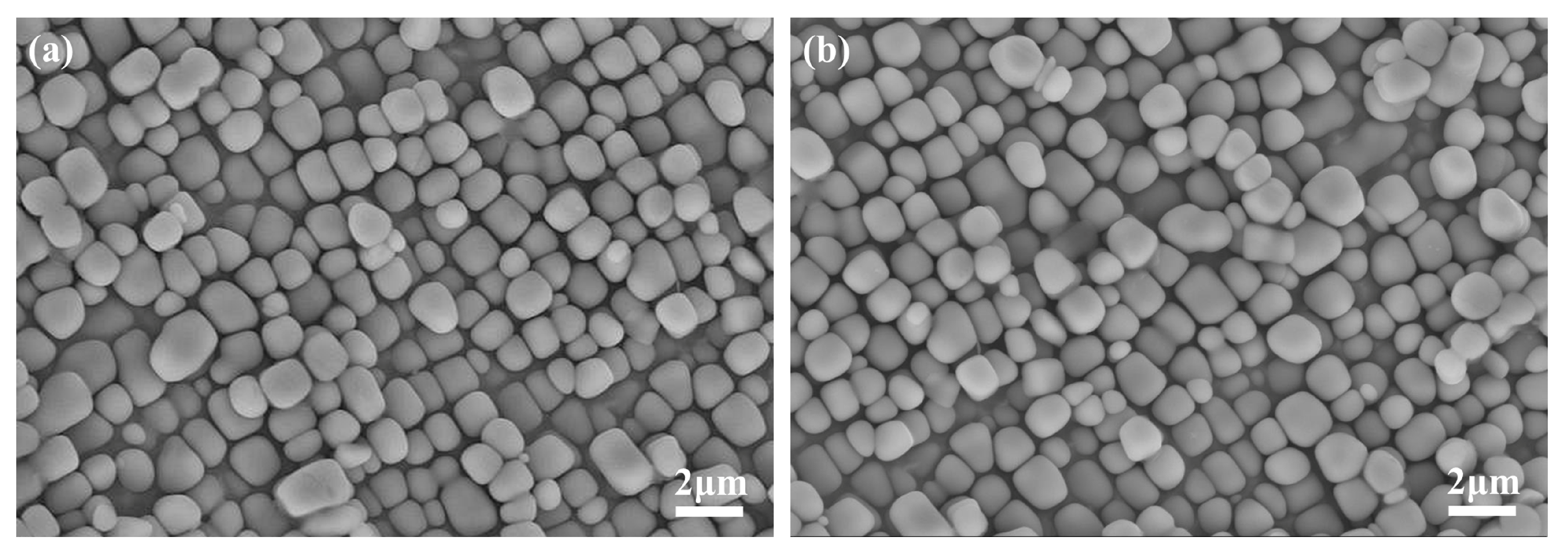 Coatings 13 02062 g009