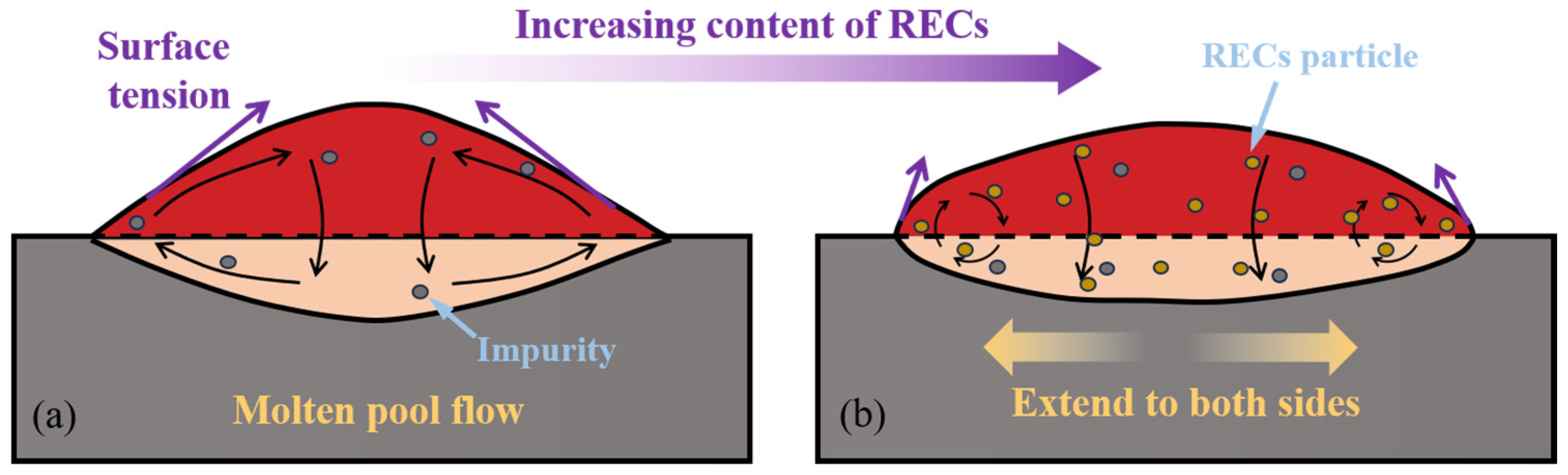 Coatings 14 00139 g003
