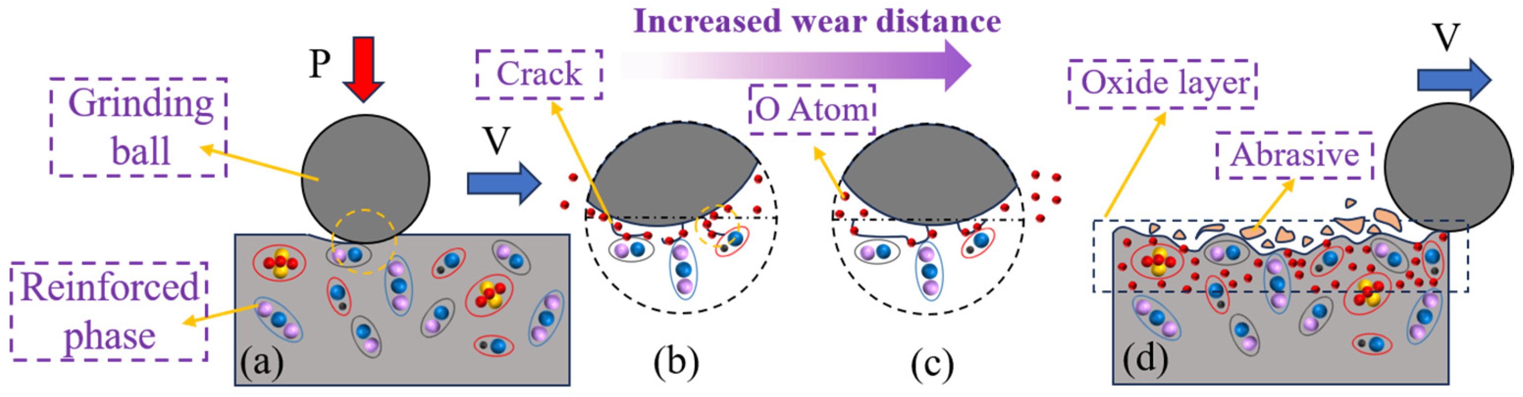 Coatings 14 00139 g012
