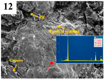 Coatings 14 00139 i012