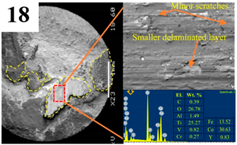 Coatings 14 00139 i018