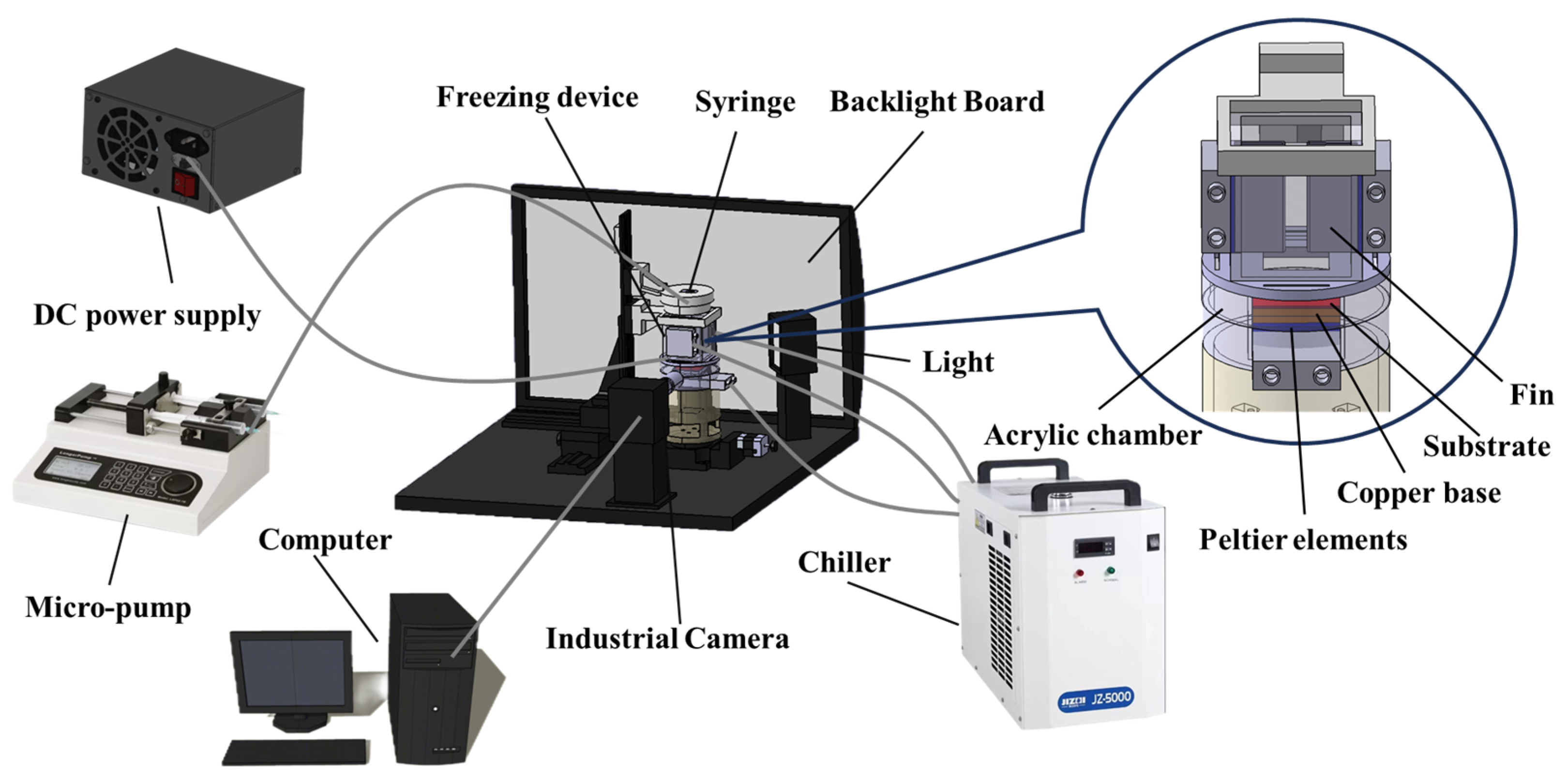 Coatings 14 00155 g001