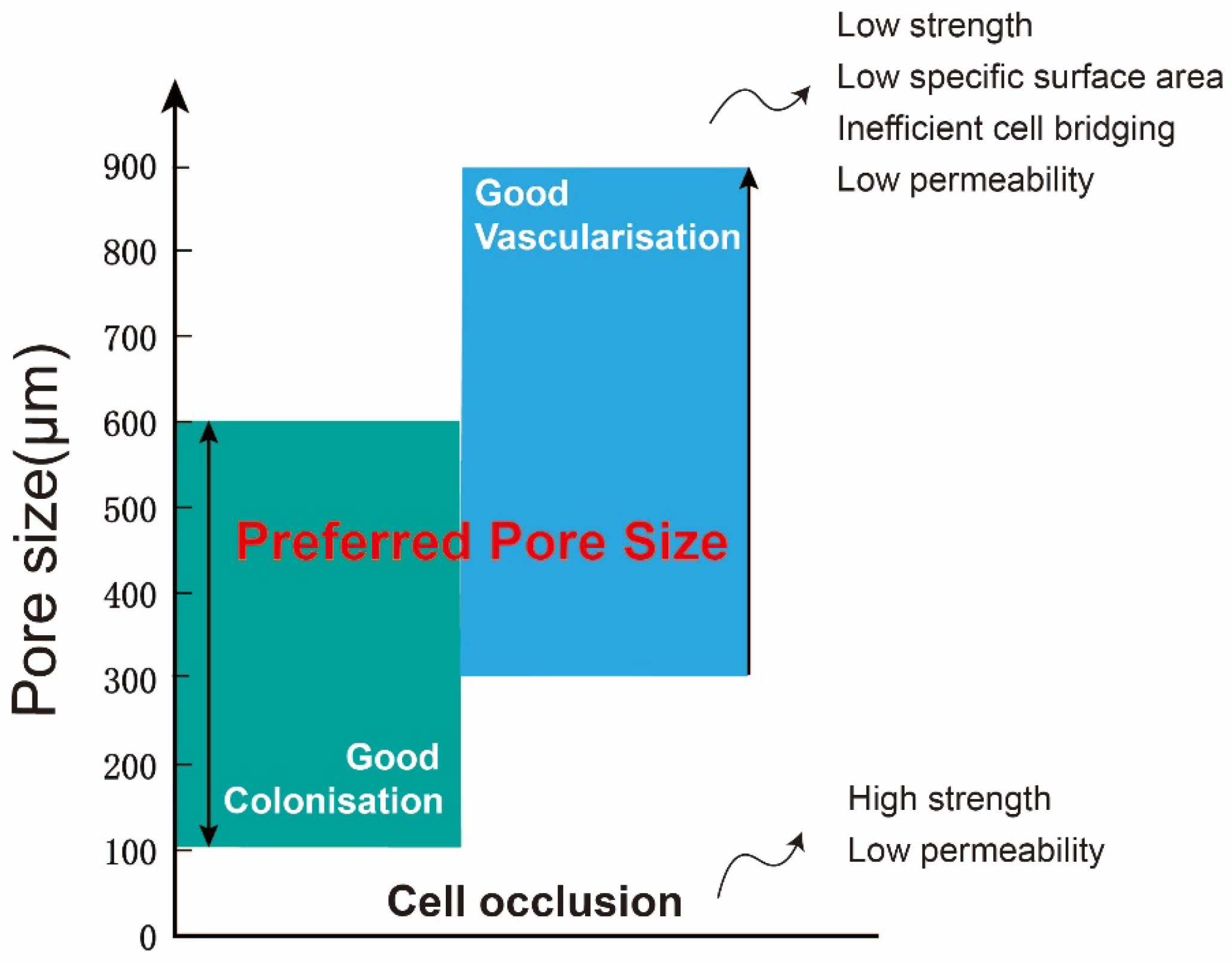 Coatings 14 00253 g003