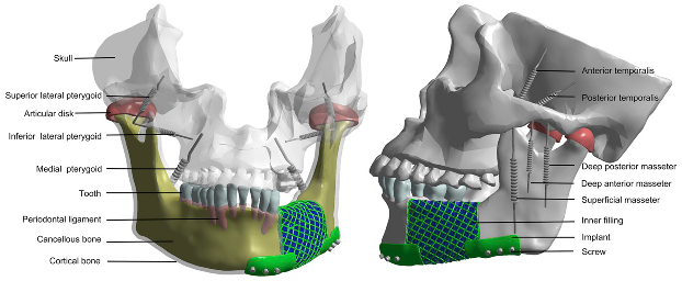 Coatings 14 00253 i014