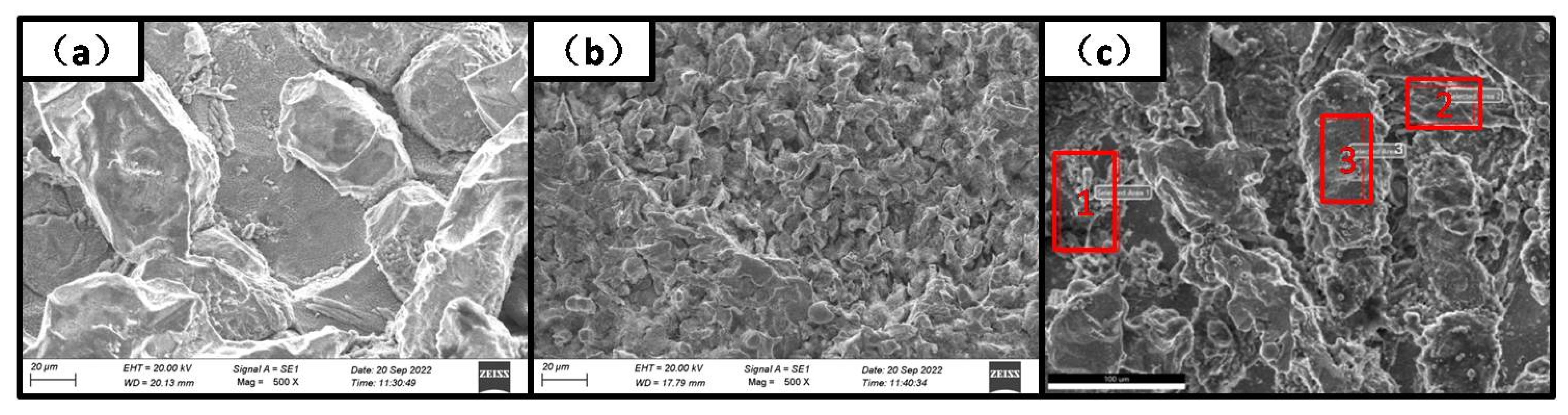 Coatings 14 00306 g005