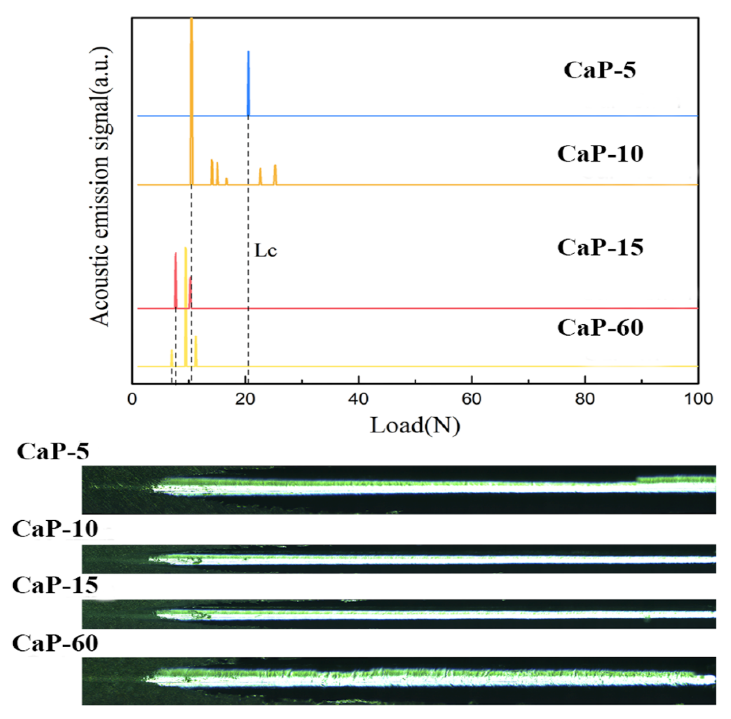Coatings 14 00350 g004