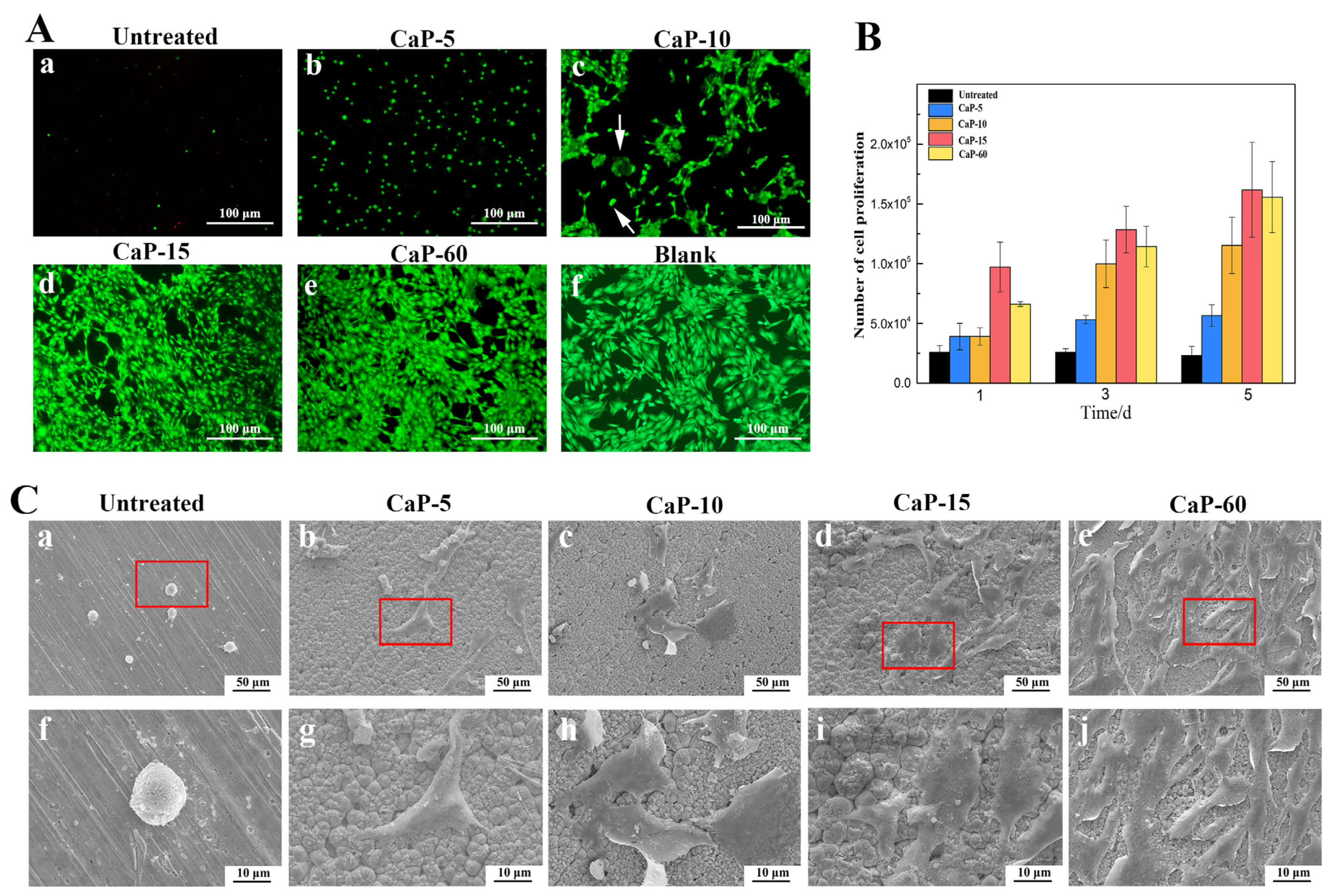 Coatings 14 00350 g007