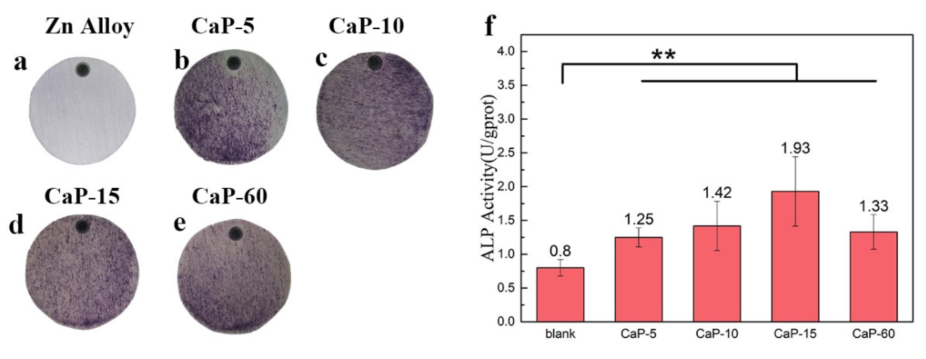 Coatings 14 00350 g008