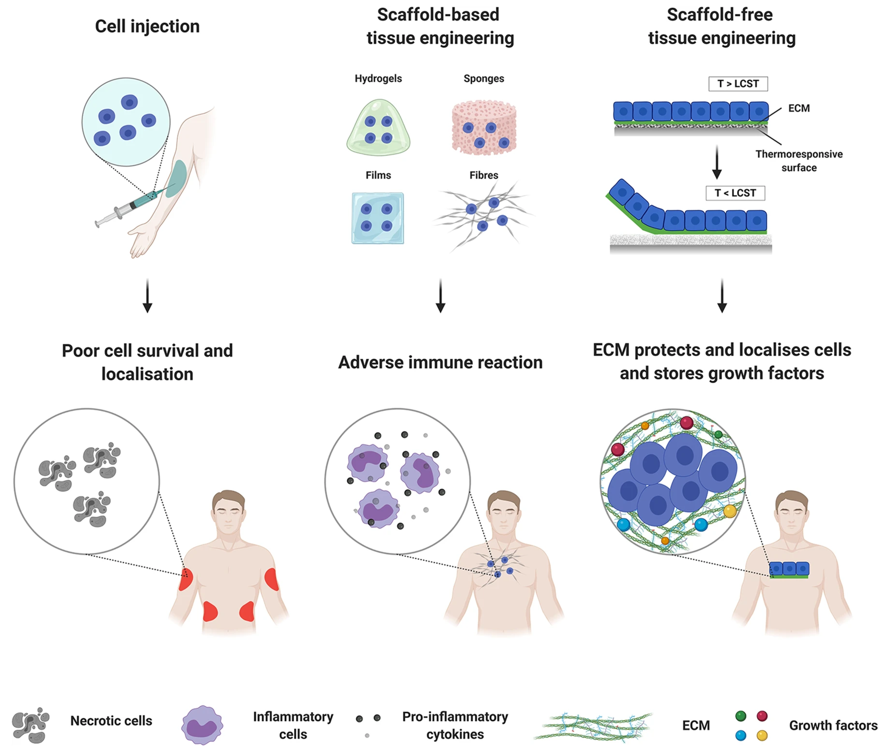 Coatings 14 00357 g005