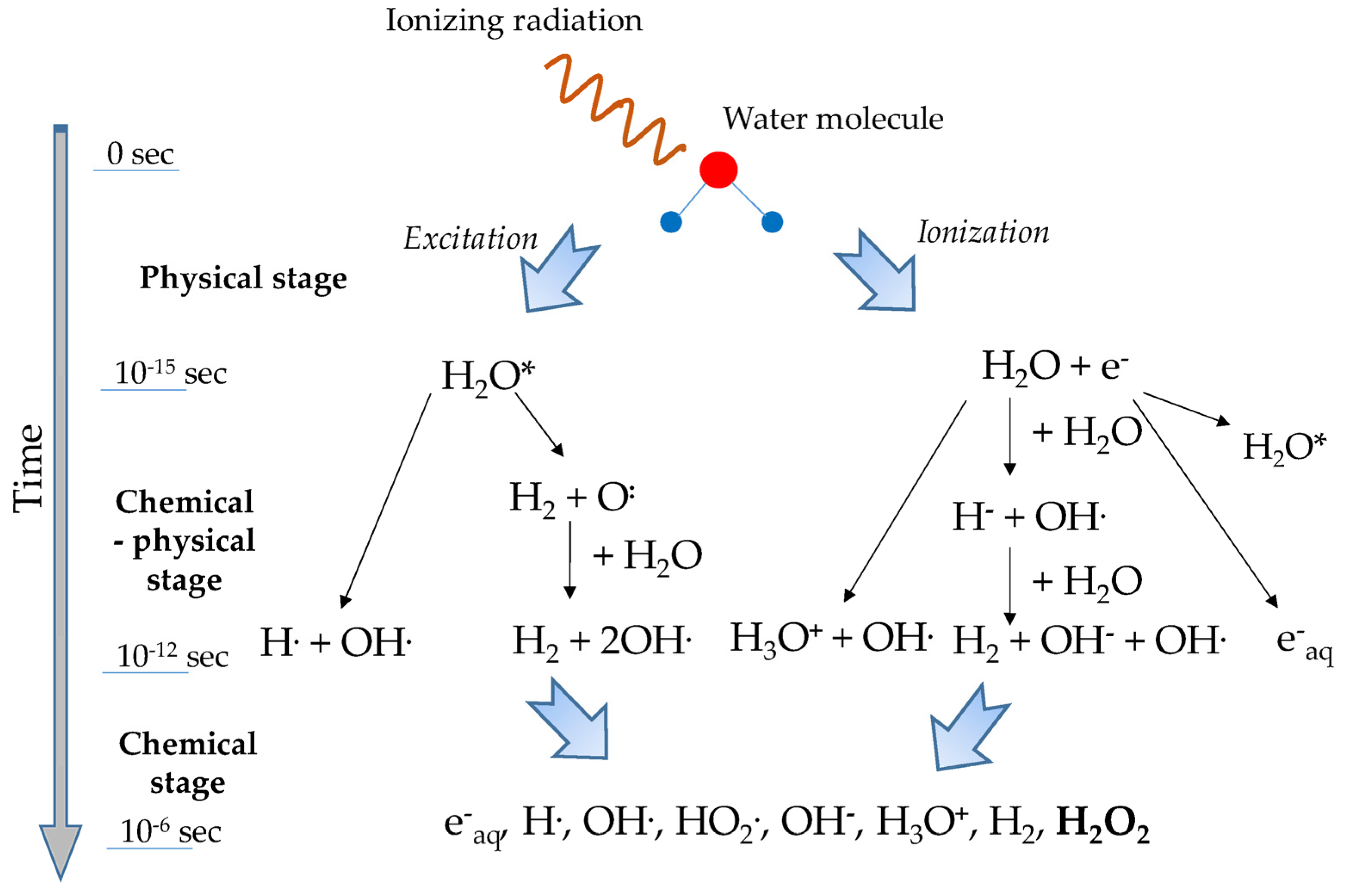 Coatings 14 00390 g001