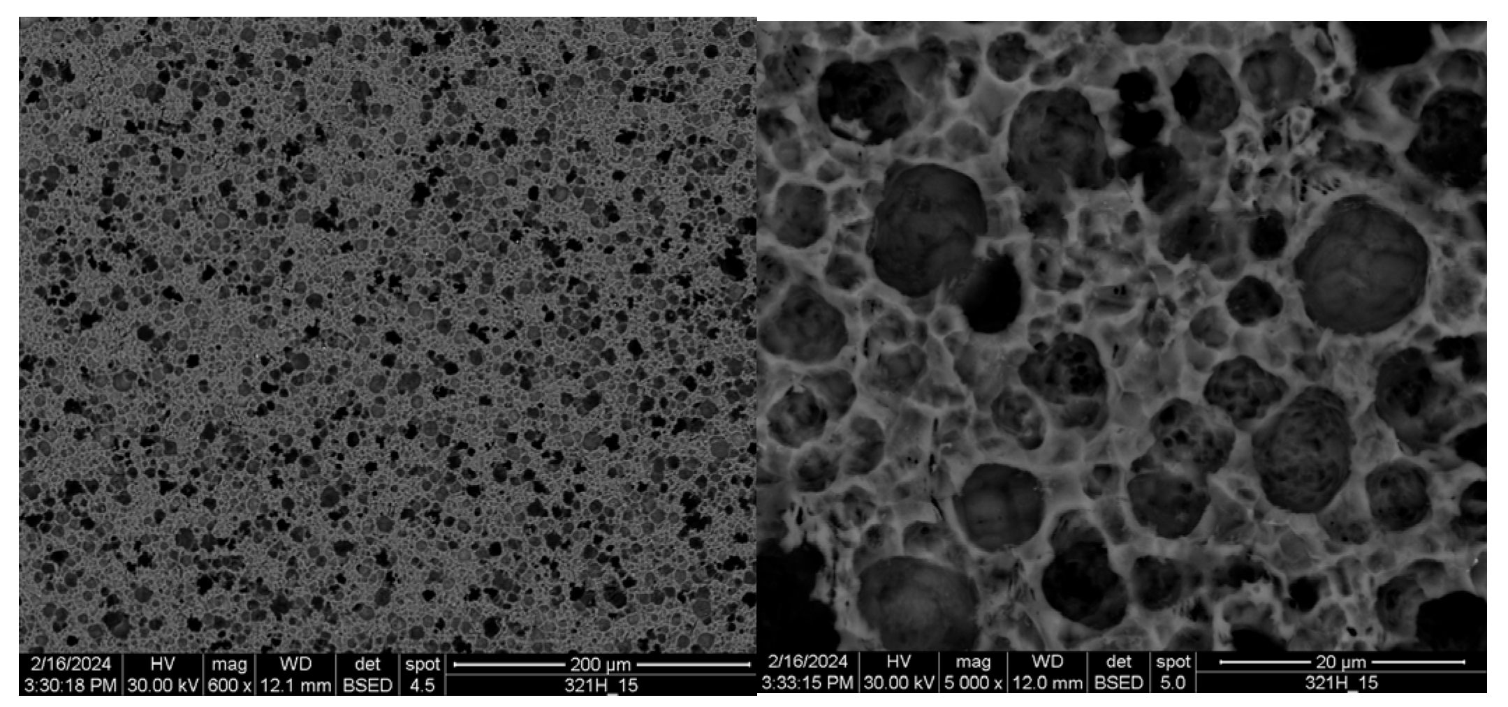 Coatings 14 00390 g009